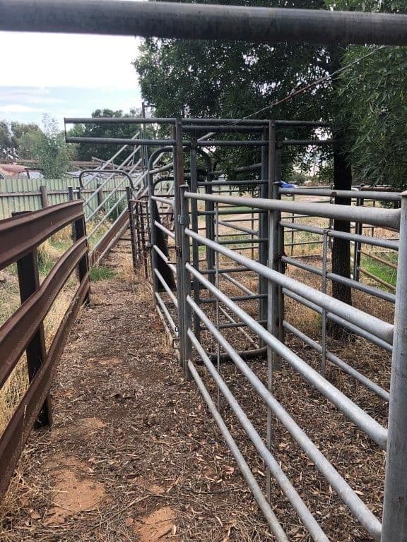 513 Mckenzie Road, Mooroopna North West VIC 3616, Mooroopna North West - Thumbnail 4