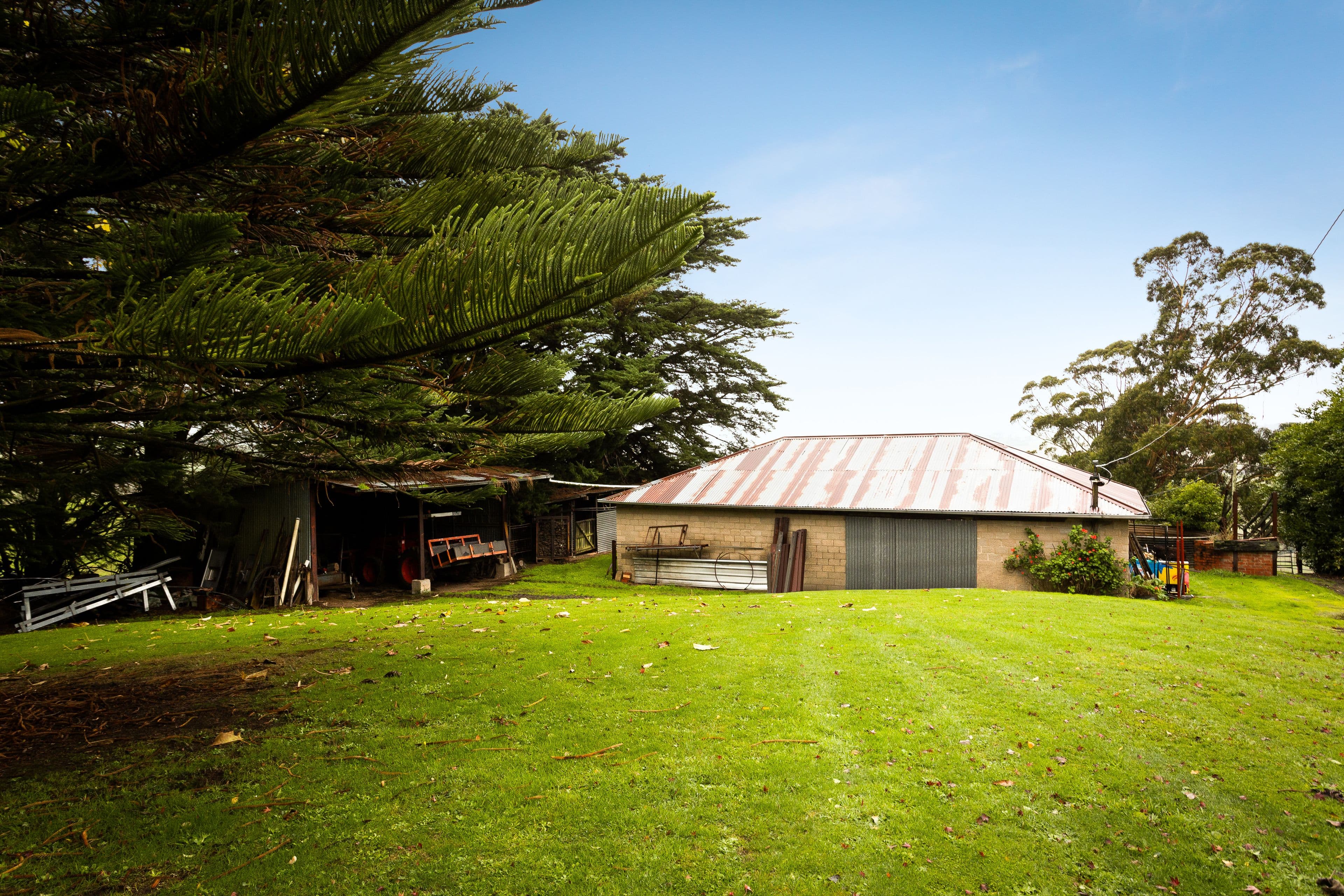110 Rowes Road, Ranceby VIC 3951, Ranceby - Thumbnail 4