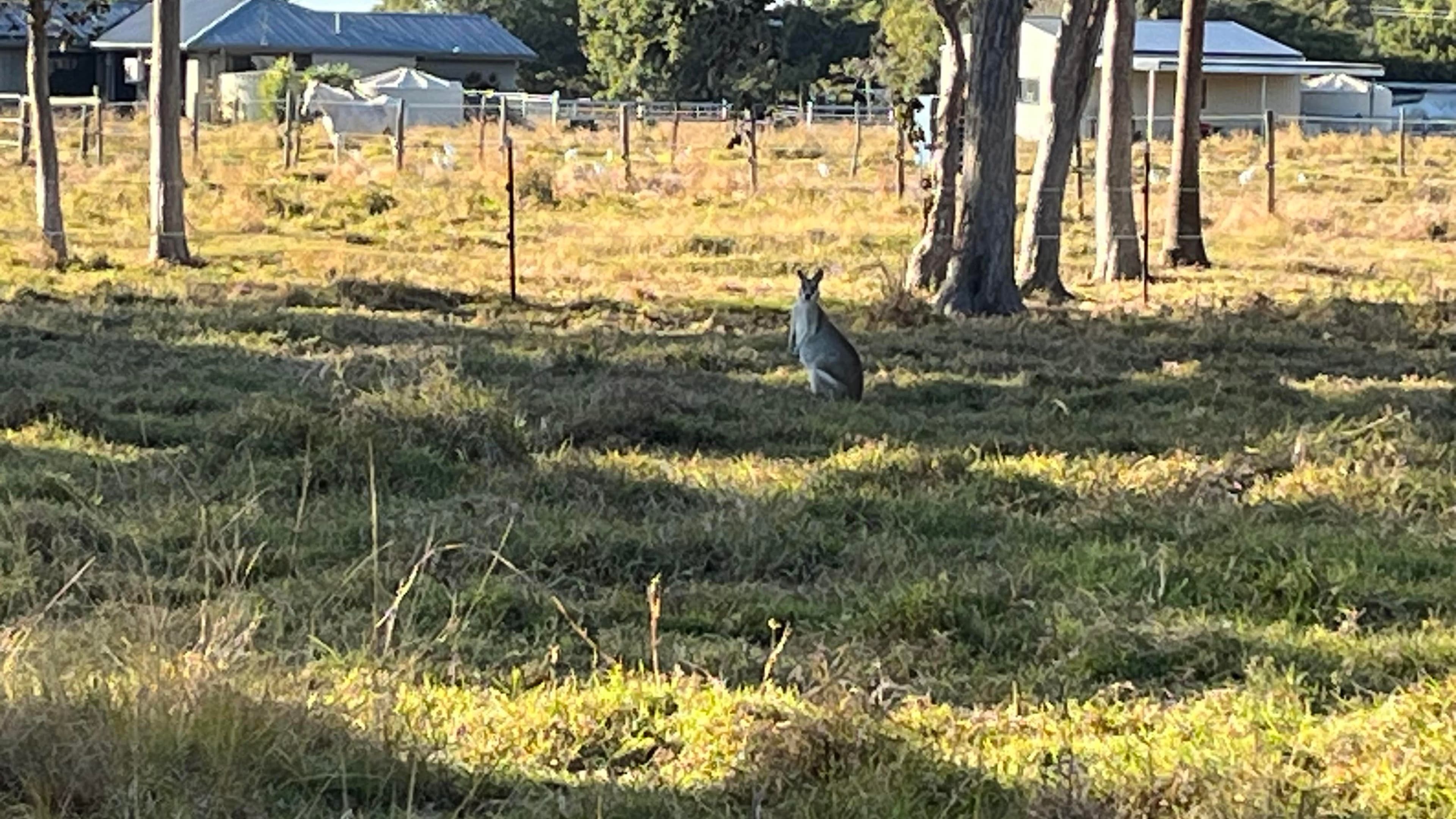 Lot 41 Hans Christian Street, Sarina QLD 4737, Sarina - Thumbnail 7