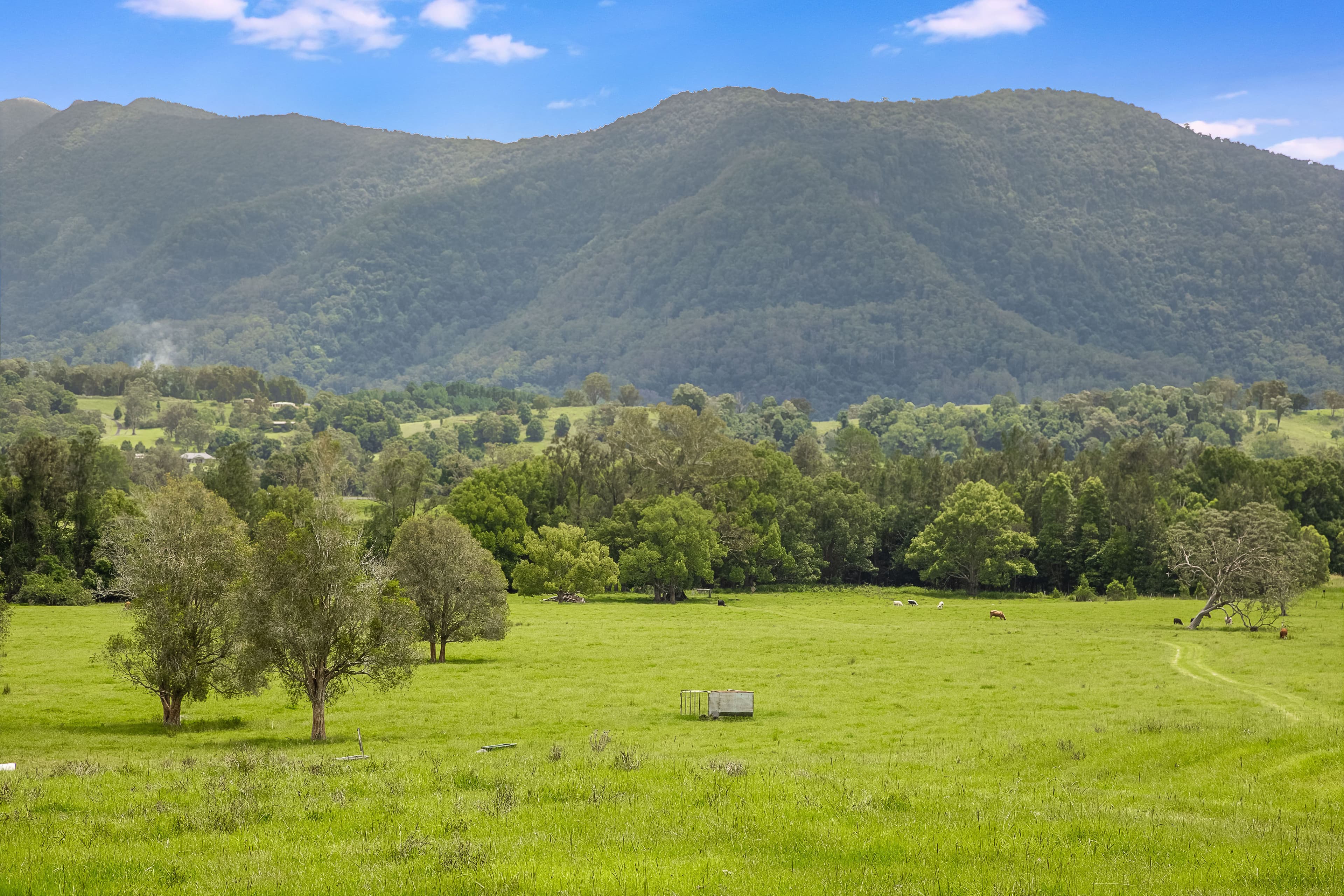 52 Kerrs Lane, Pumpenbil NSW 2484, Pumpenbil - Thumbnail 5