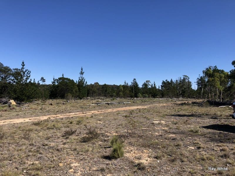 Lot 94 Back Creek Road, Braidwood NSW 2622, Braidwood - Thumbnail 2