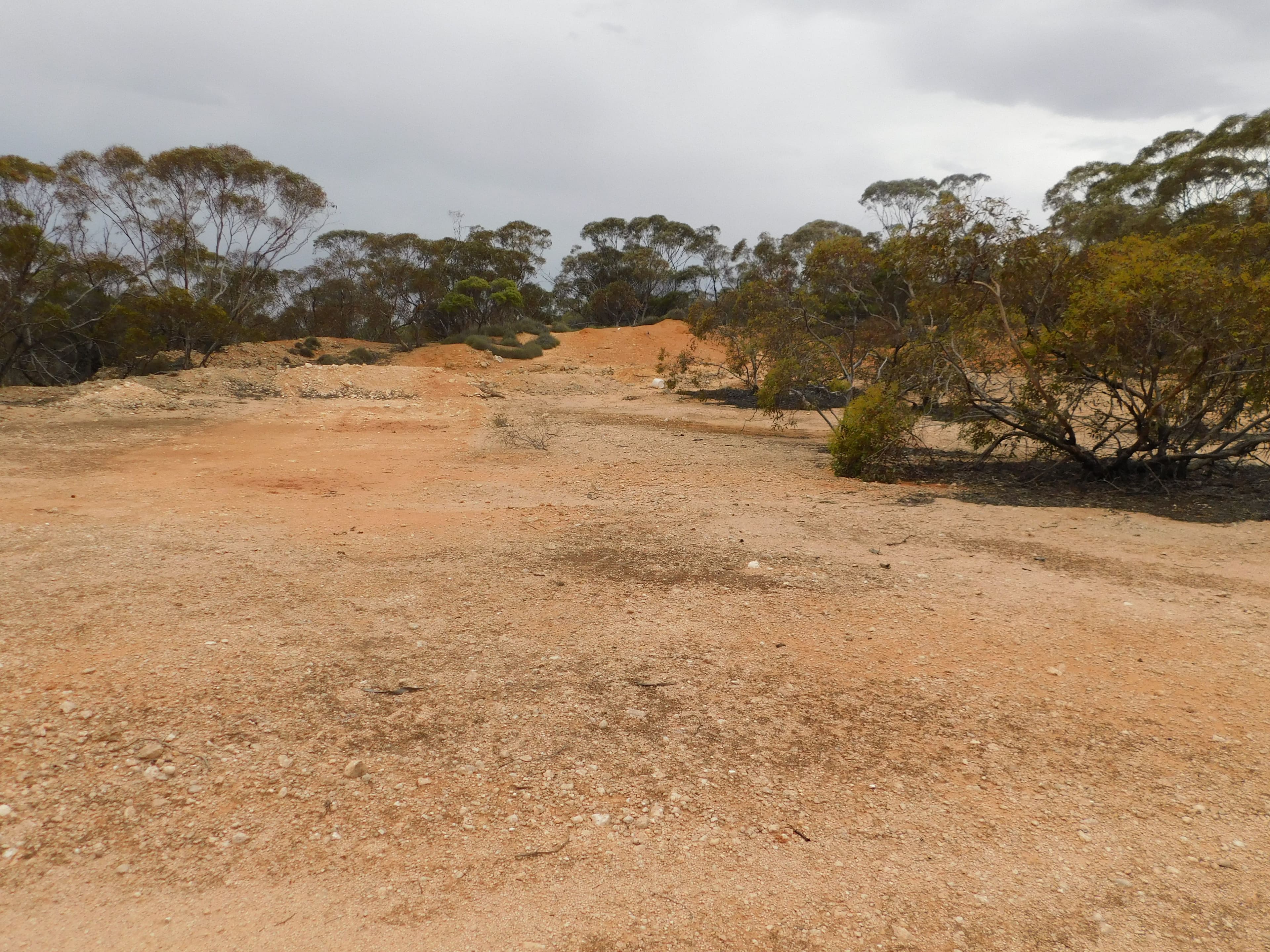 Sec 35 Racecourse Road, Halidon SA 5309, Halidon - Image 1