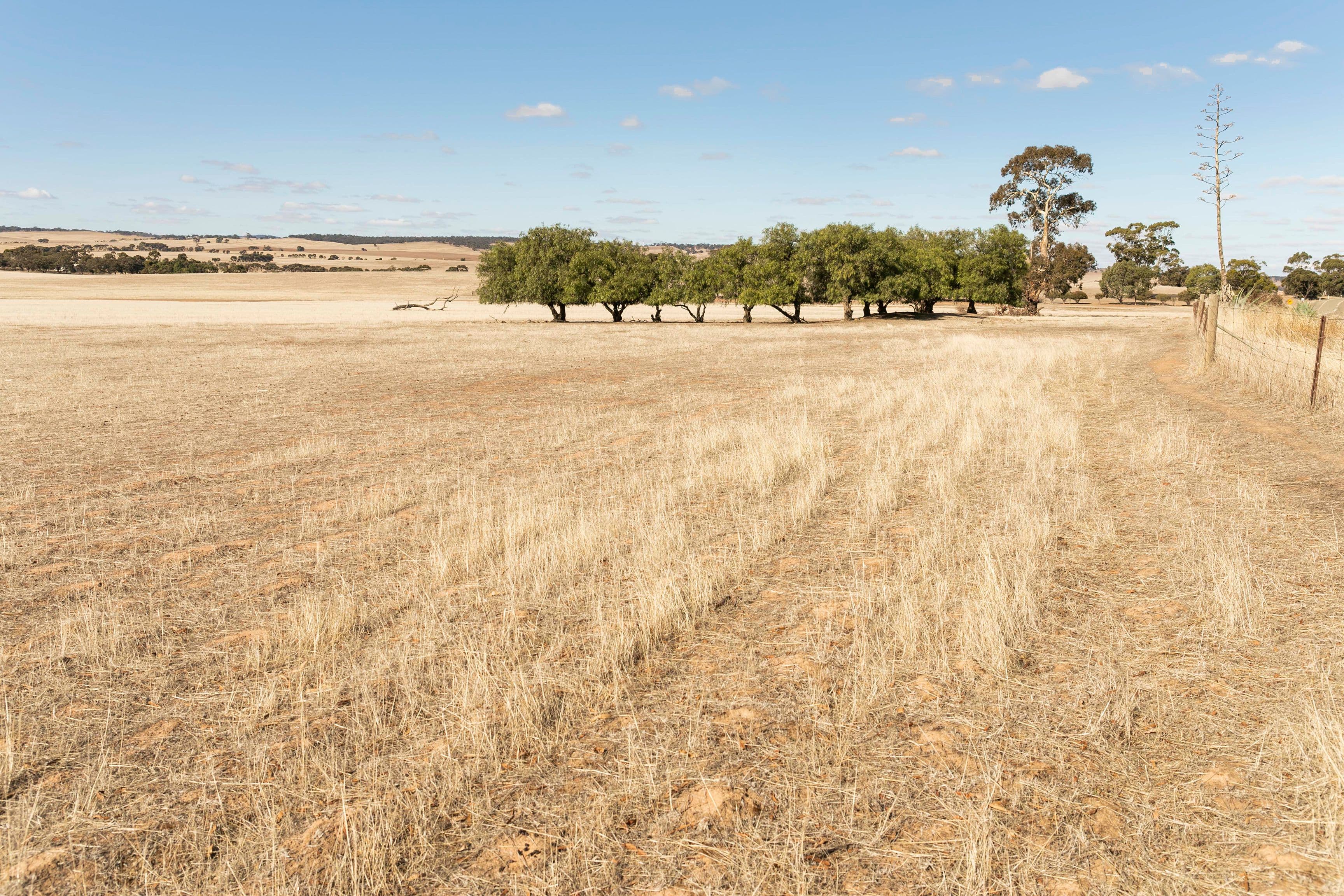 'Roselynn' 119 Bowmans Road, Manoora SA 5414, Manoora - Image 1