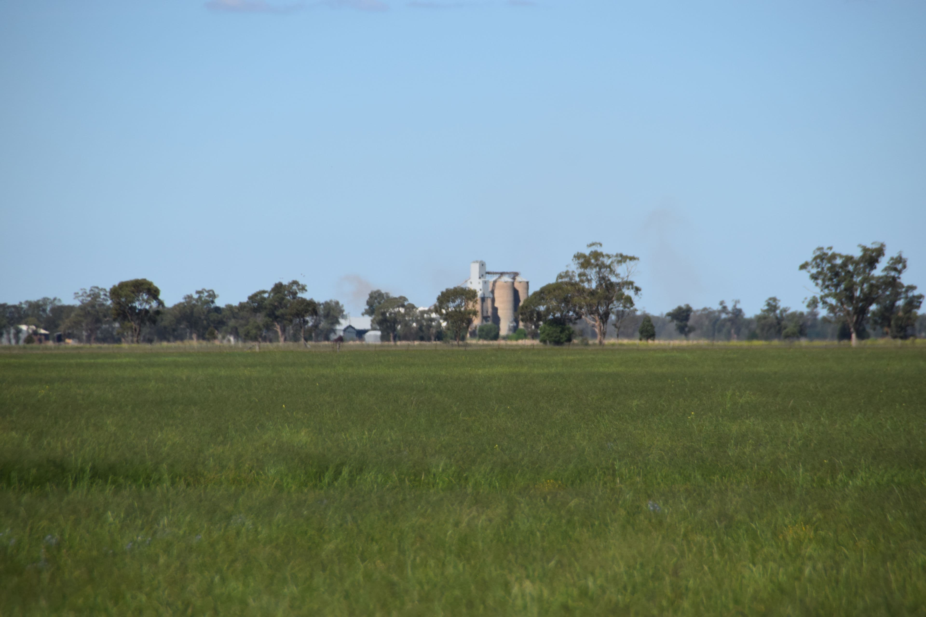 'Fairview' 339 Wyuna Road, Curban NSW 2827, Curban - Thumbnail 3
