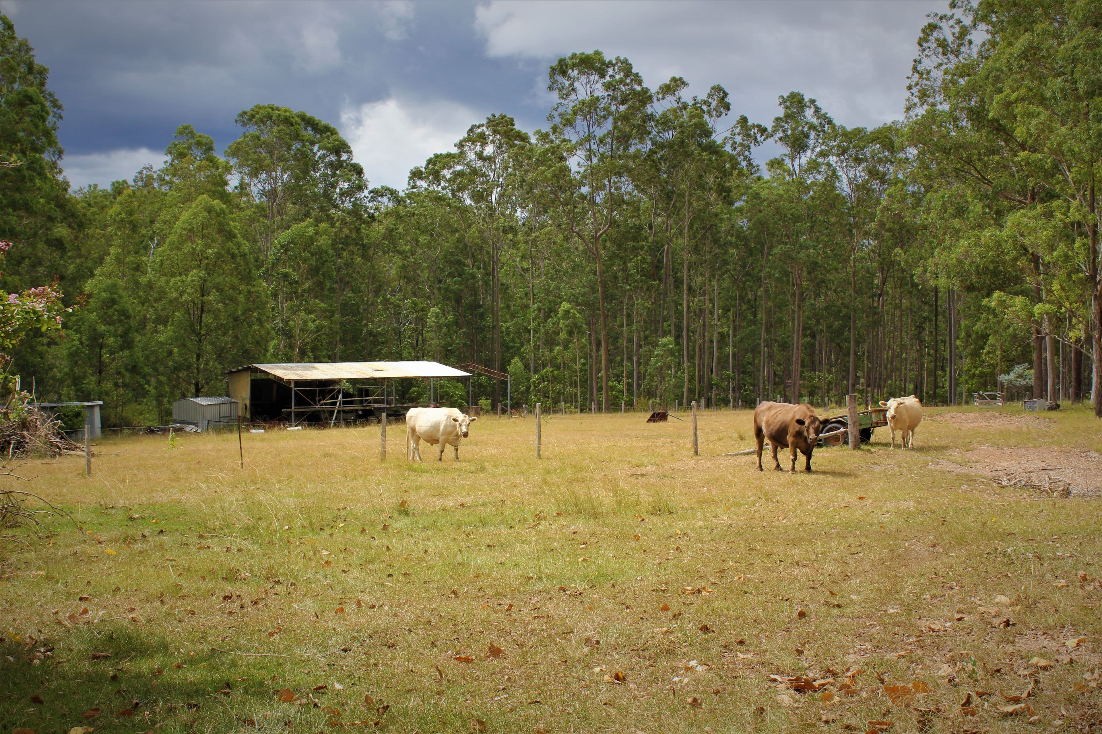 Skillion Flat NSW 2440, Skillion Flat - Image 1