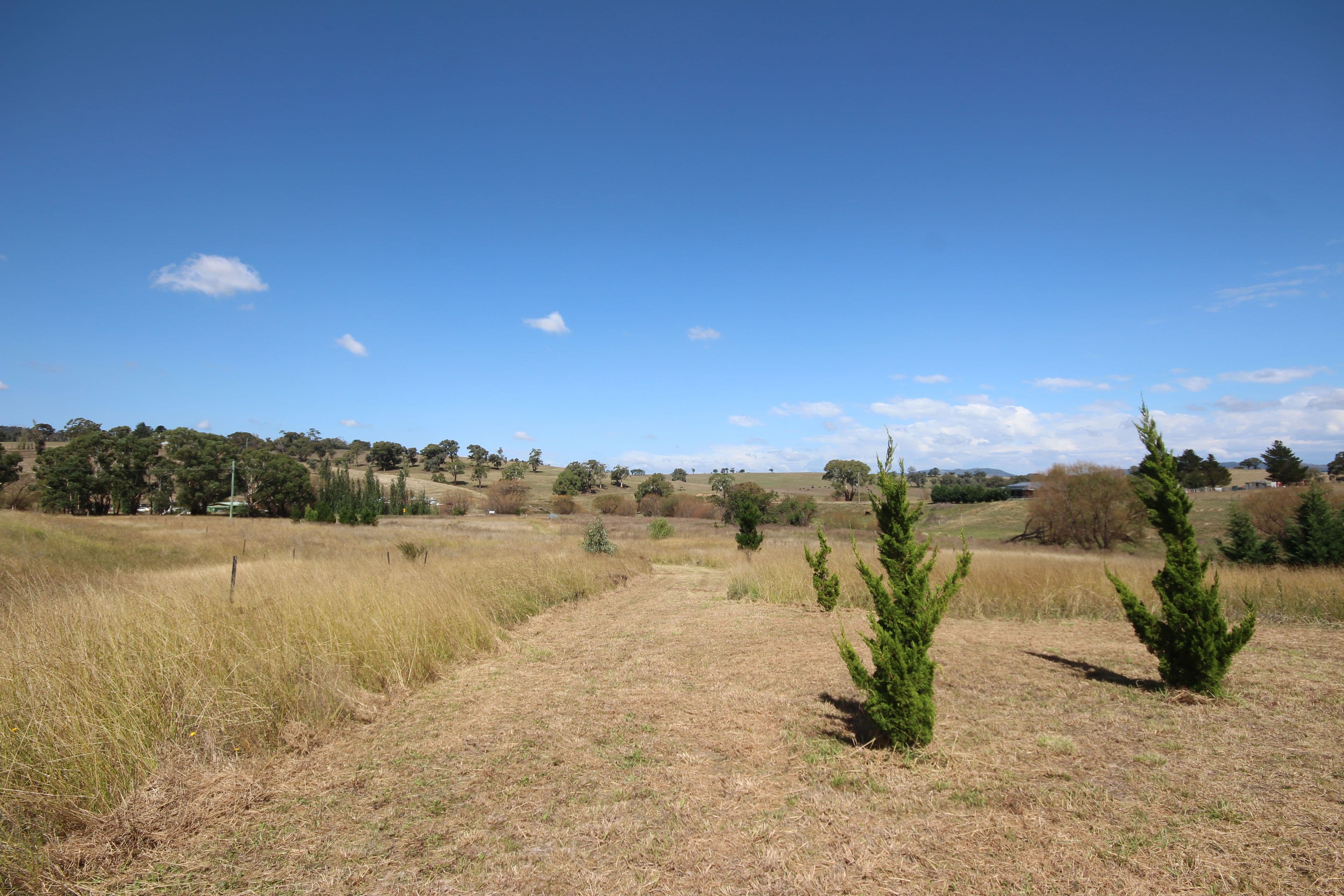 2913 Tarana Road, Tarana NSW 2787, Tarana - Thumbnail 7