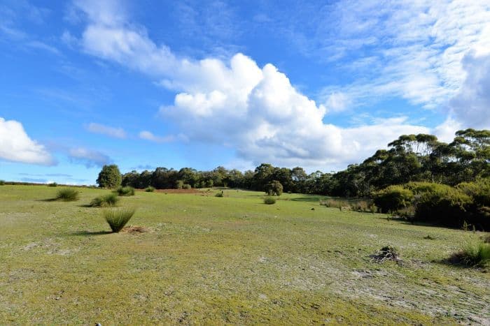 Nannup WA 6275, Nannup - Thumbnail 7
