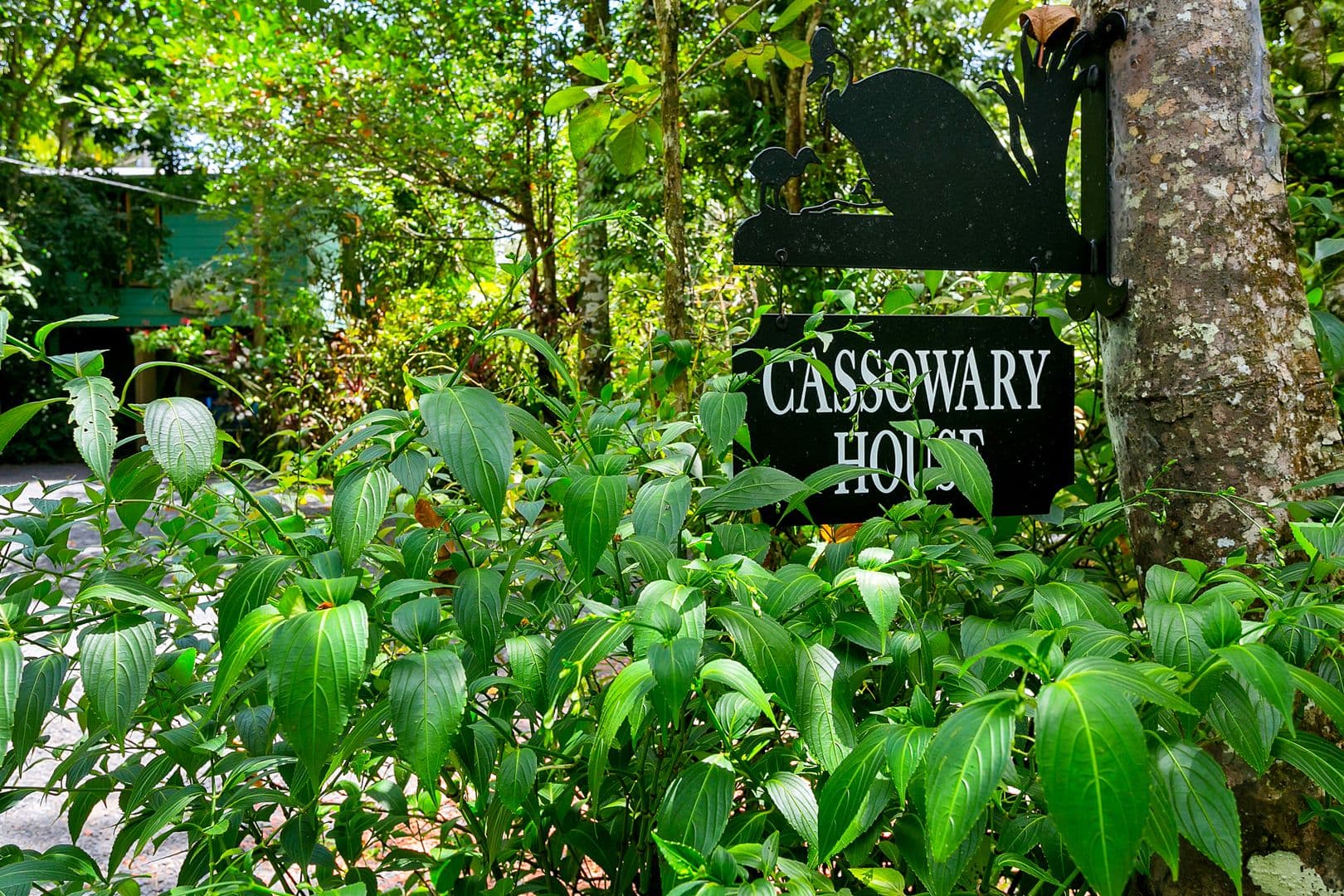 Lot 1 Black Mountain Road, Kuranda QLD 4881, Kuranda - Thumbnail 3