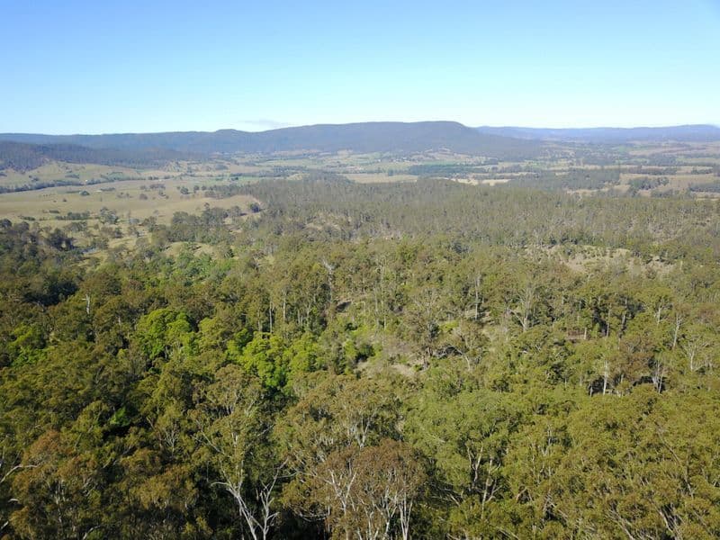 728 Yabbra Road, Old Bonalbo NSW 2469, Old Bonalbo - Thumbnail 8