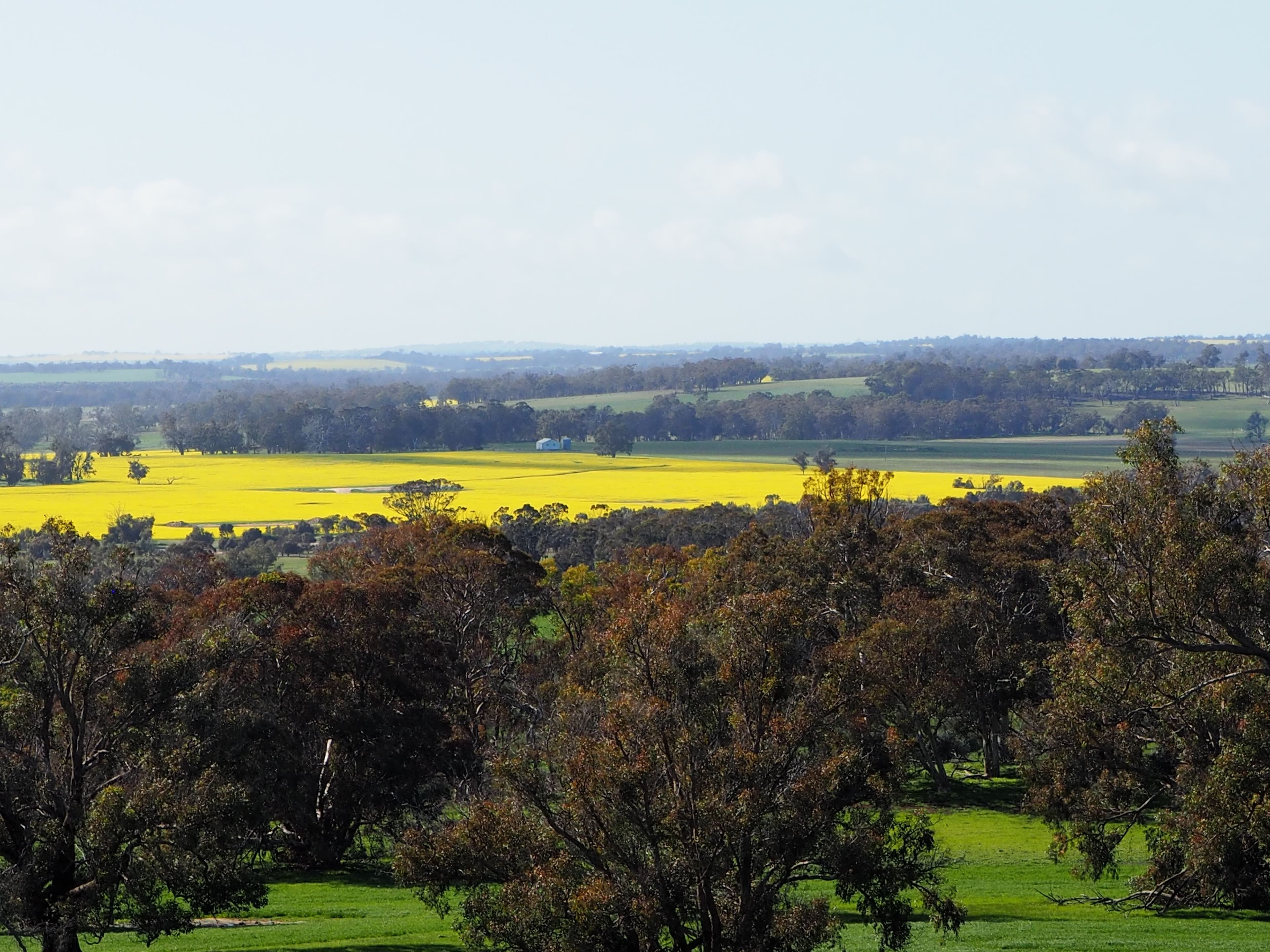 Tarwilli Collie-Changerup Road, Kojonup WA 6395, Kojonup - Thumbnail 6