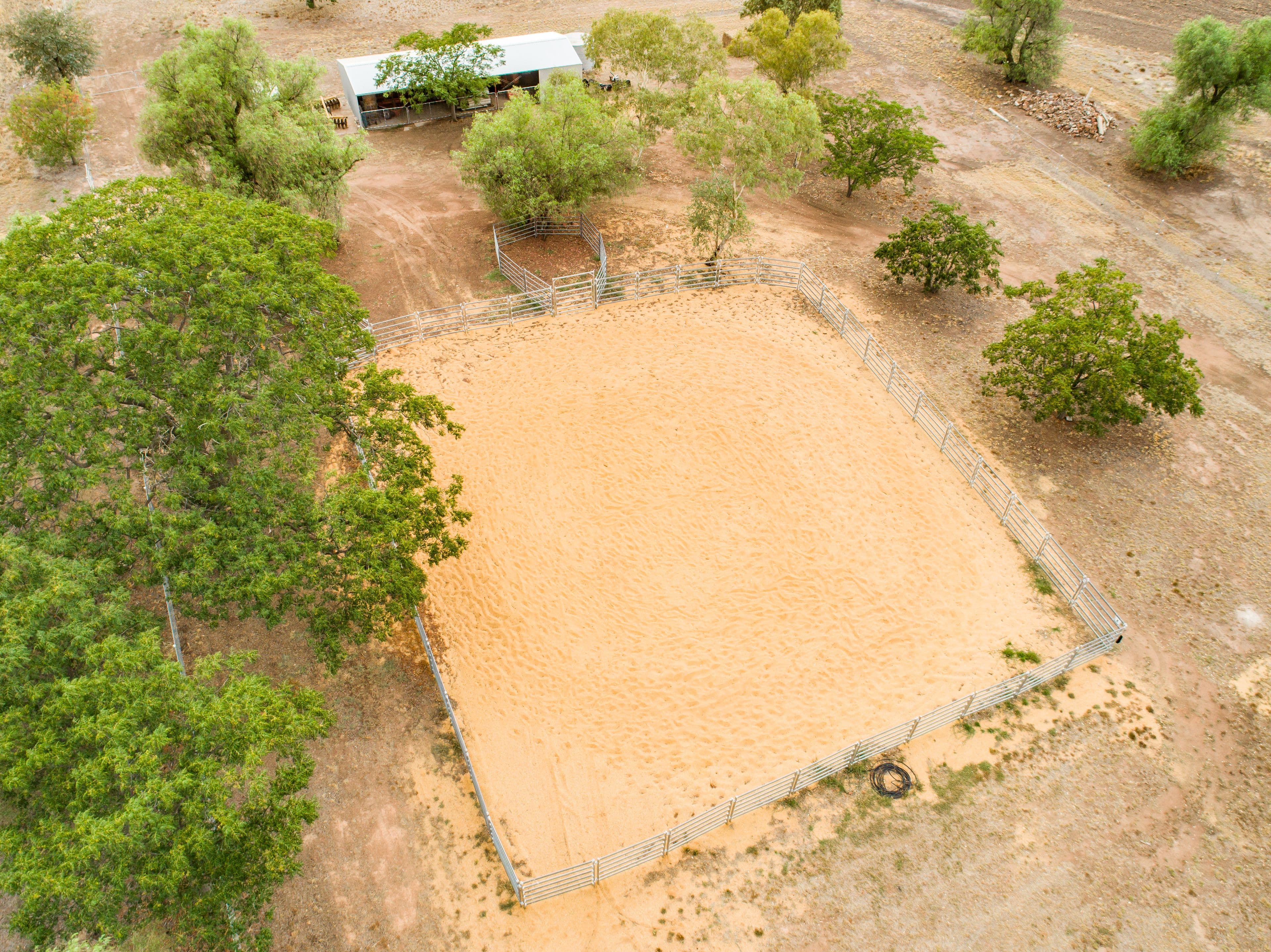 154 Broula Road, Cowra NSW 2794, Cowra - Thumbnail 7