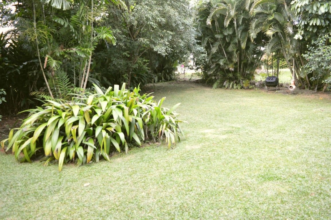 24 Pioneer Street, Bingil Bay QLD 4852, Bingil Bay - Thumbnail 8