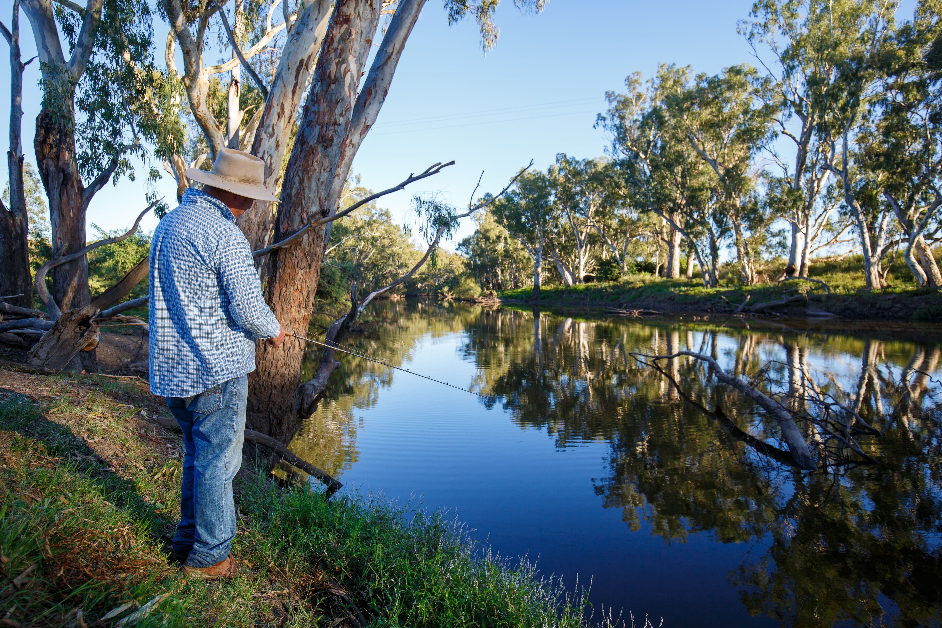 157 Coalmine Road, Ashford NSW 2361, Ashford - Thumbnail 2