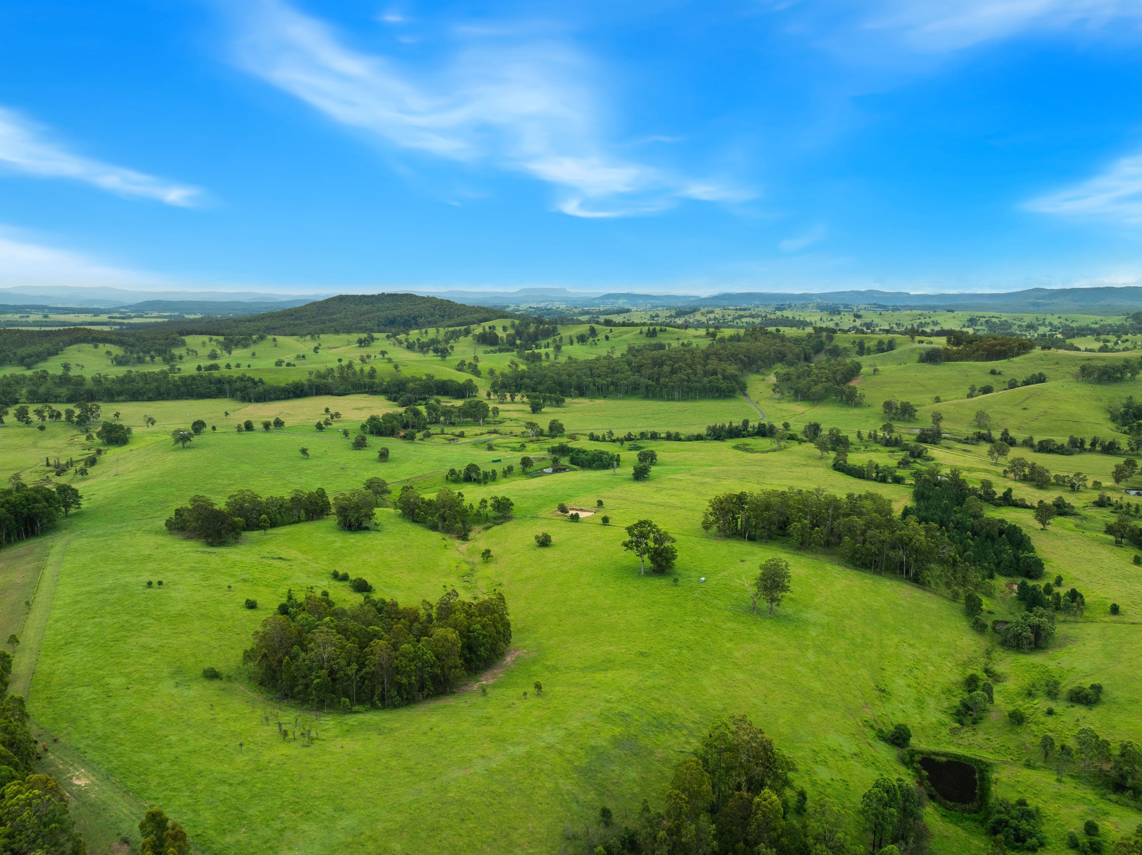 140 Deep Creek Road, Mallanganee NSW 2469, Mallanganee - Thumbnail 2