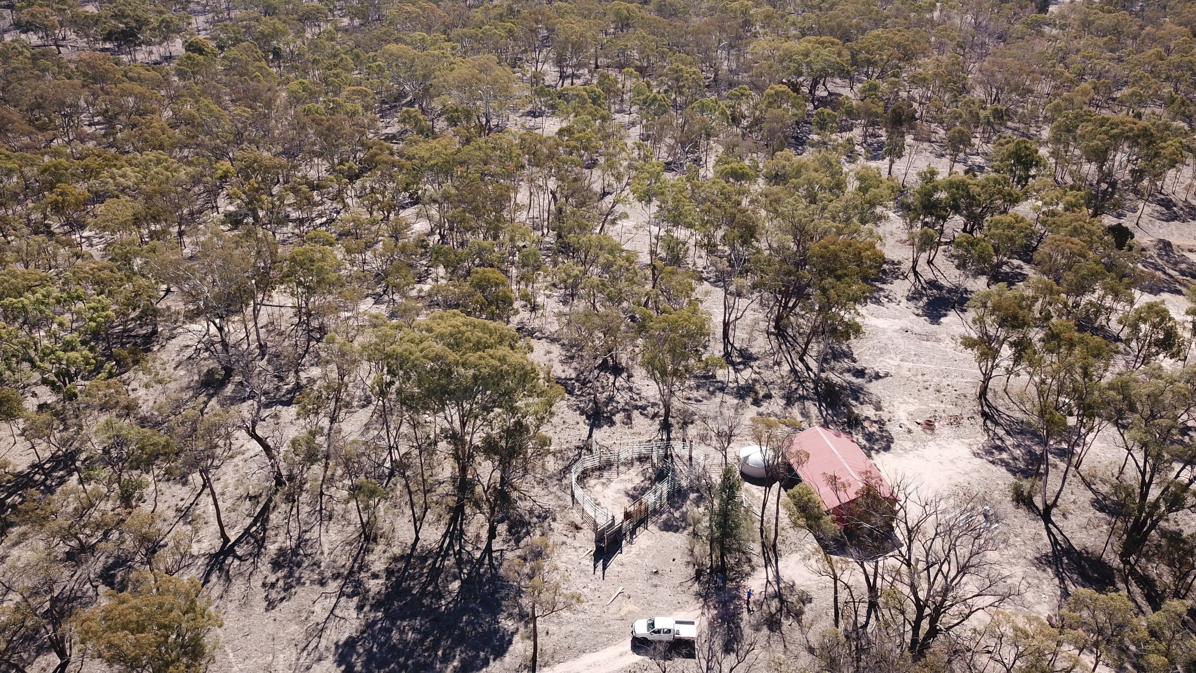 390 Gwydir River Road, Armidale NSW 2350, Armidale - Image 1