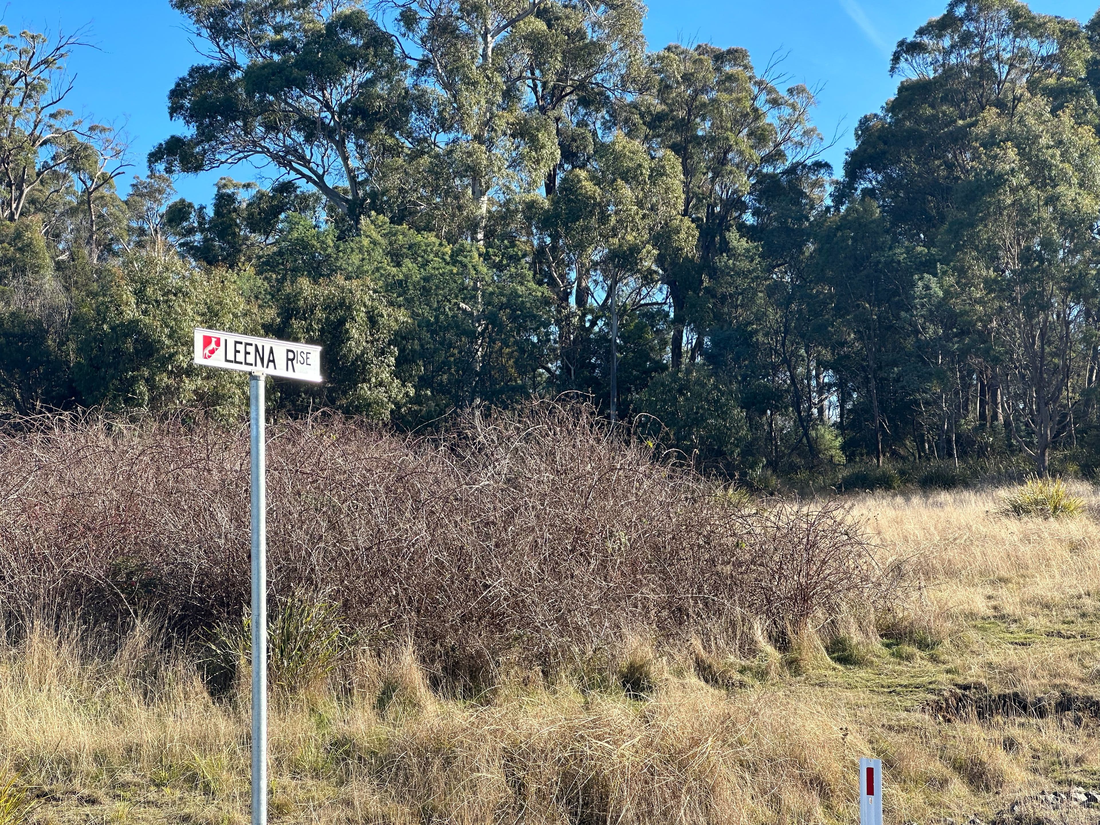 13 Leena Rise, Dilston TAS 7252, Dilston - Thumbnail 2