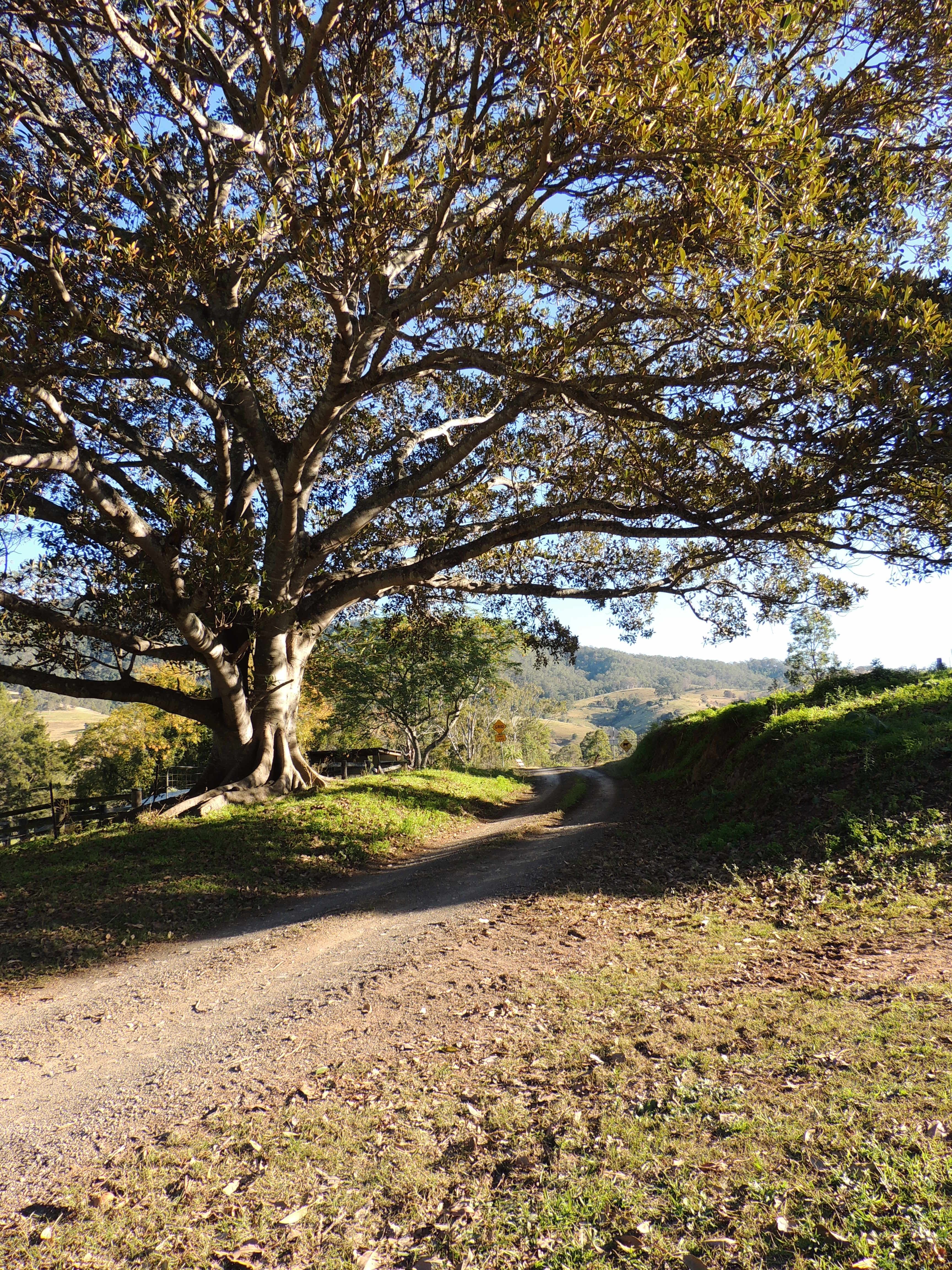 362 Cundle Flat Road, Gloucester NSW 2422, Gloucester - Thumbnail 7