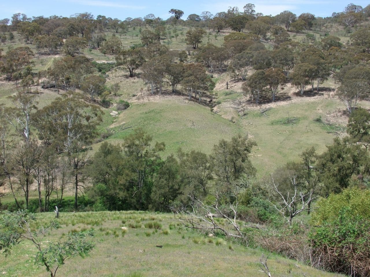 Bathurst NSW 2795, Bathurst - Thumbnail 3