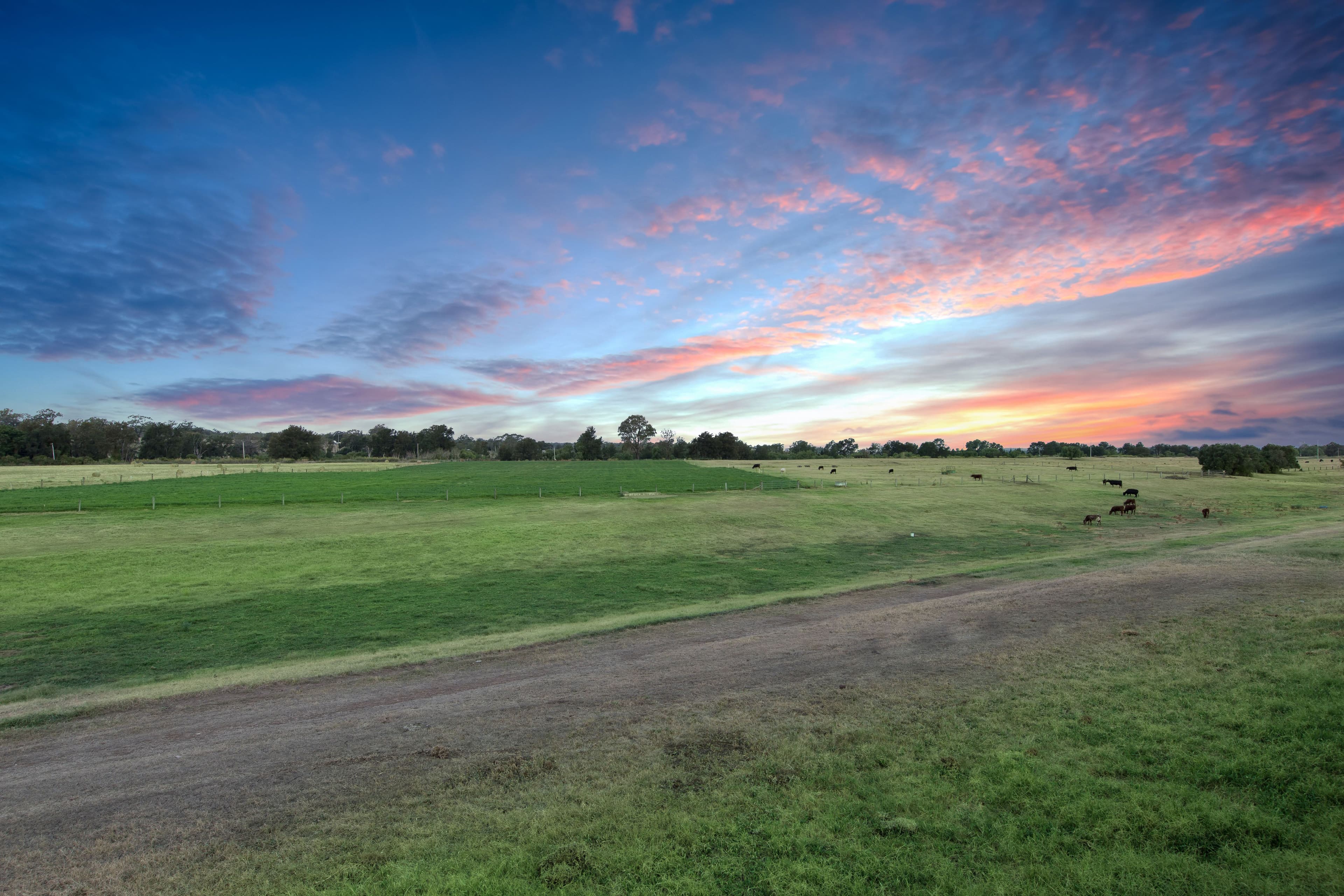 64 Dangar Road, Singleton NSW 2330, Singleton - Thumbnail 2