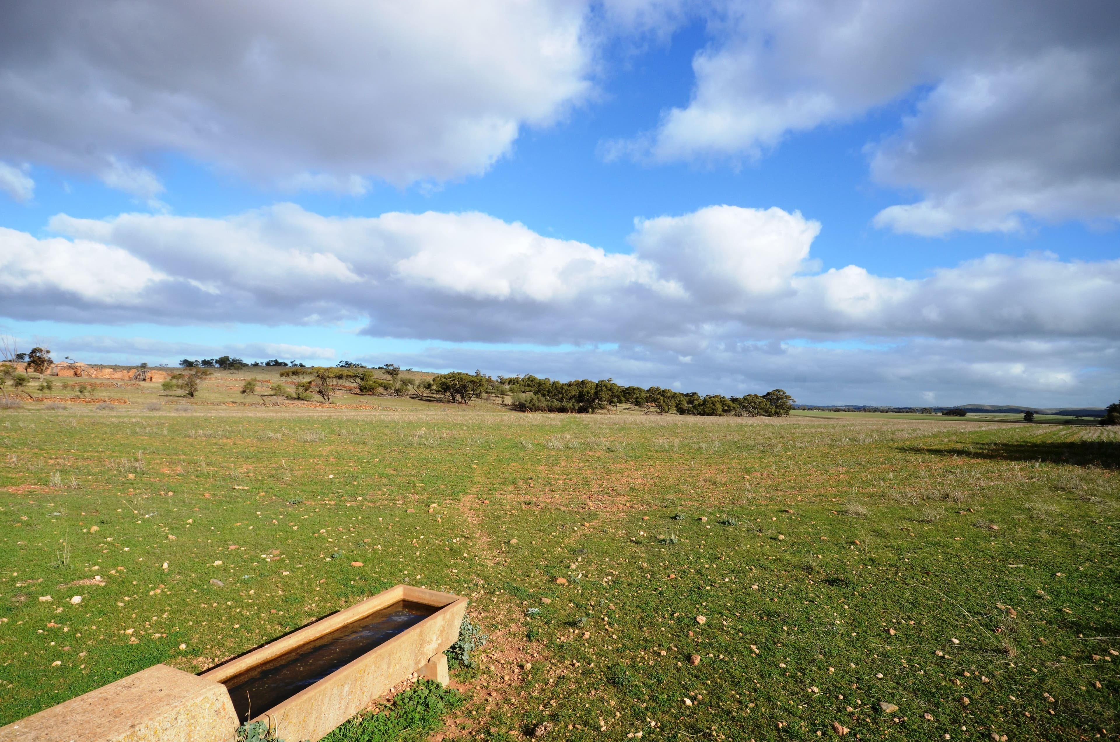 "Roockes" and "Schulzs" - Von Reiben Road, Neales Flat SA 5374, Neales Flat - Thumbnail 6