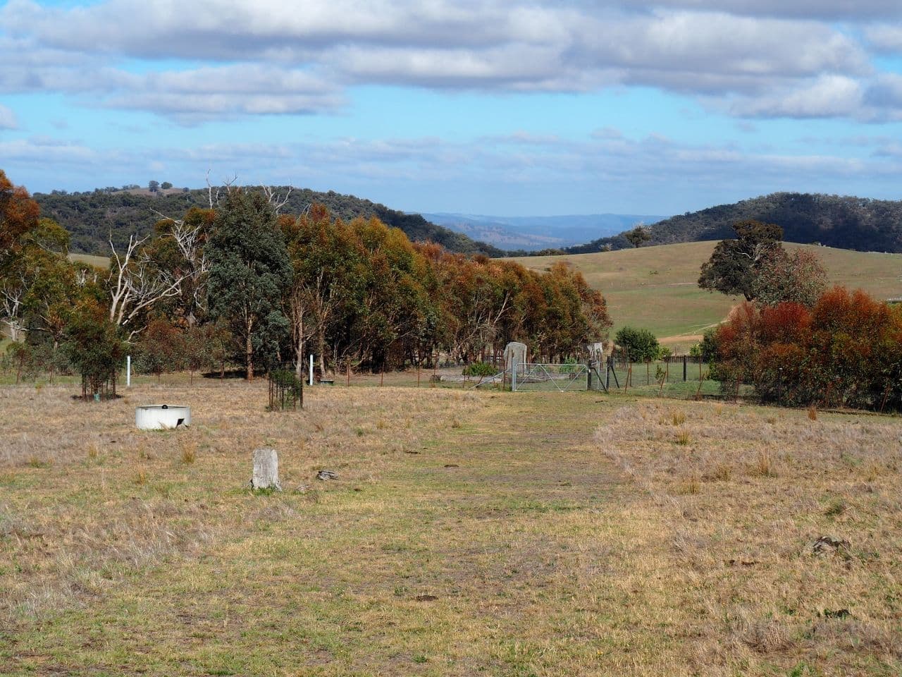 2185 Limekilns Road, Bathurst NSW 2795, Bathurst - Thumbnail 6