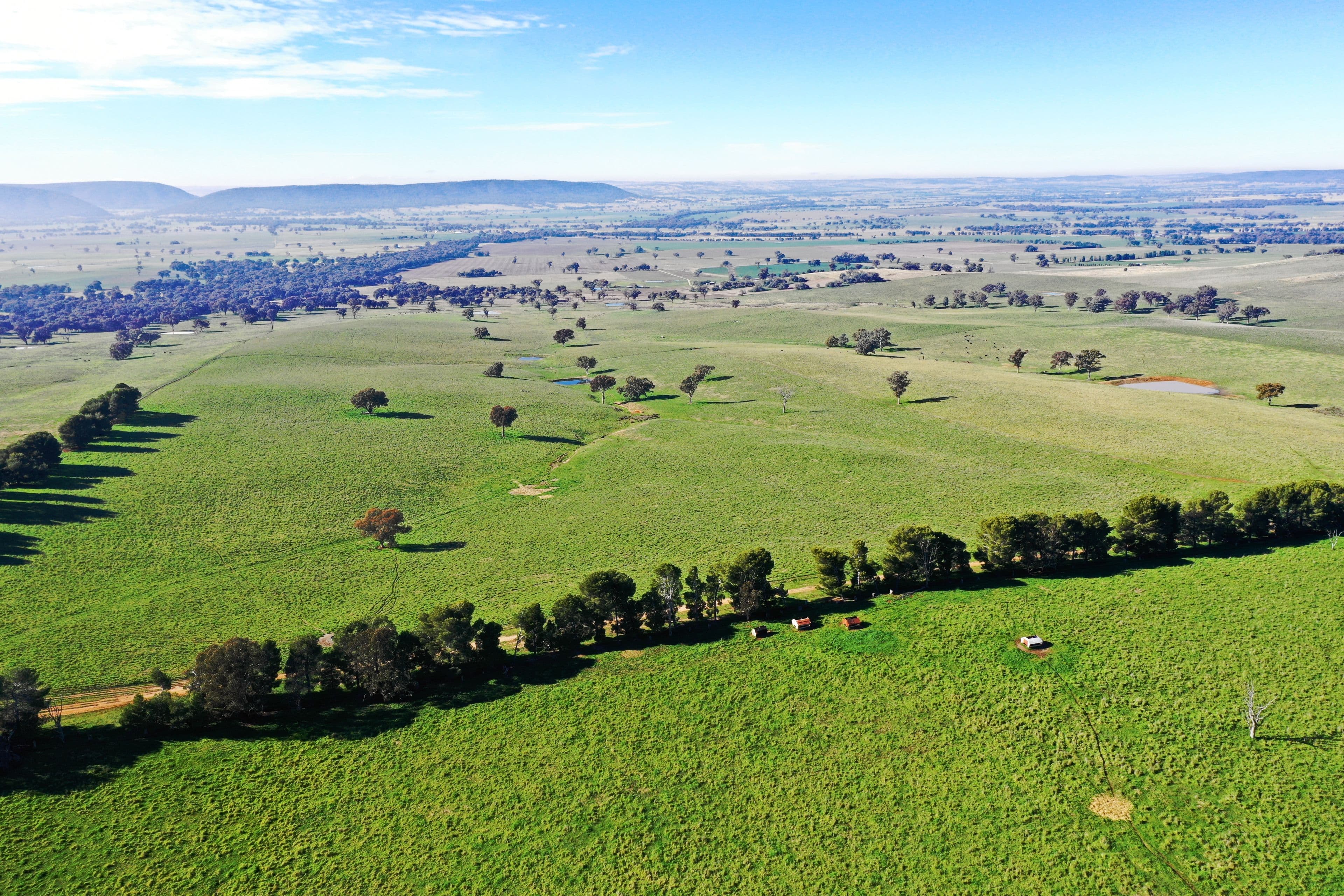 Young NSW 2594, Young - Thumbnail 2