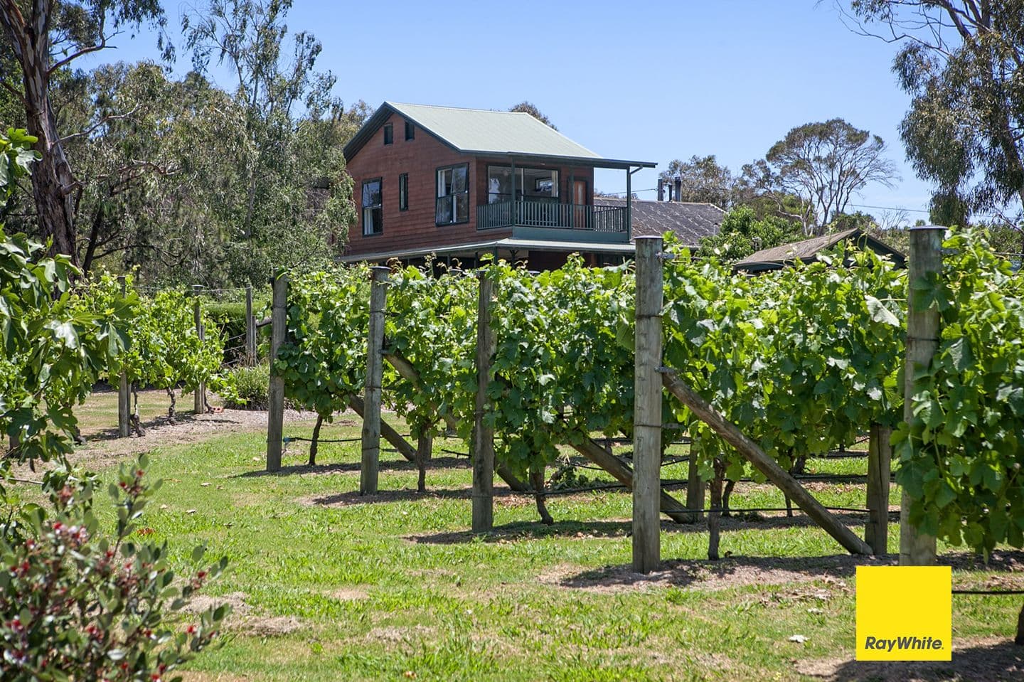 58 Newton Avenue, Langwarrin South VIC 3911, Langwarrin South - Image 1
