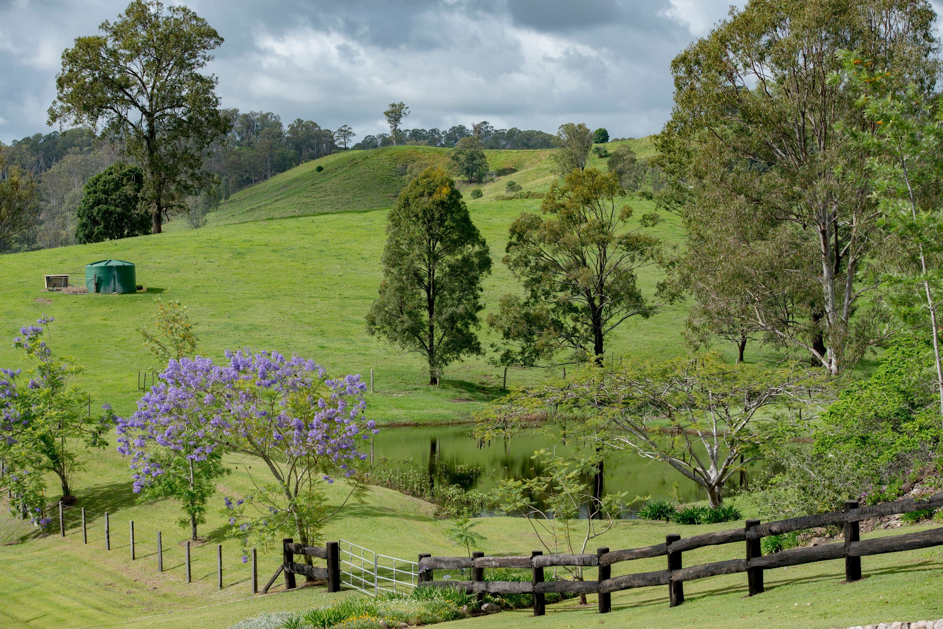 1 Banyak Suka Drive, Delaneys Creek QLD 4514, Delaneys Creek - Thumbnail 6