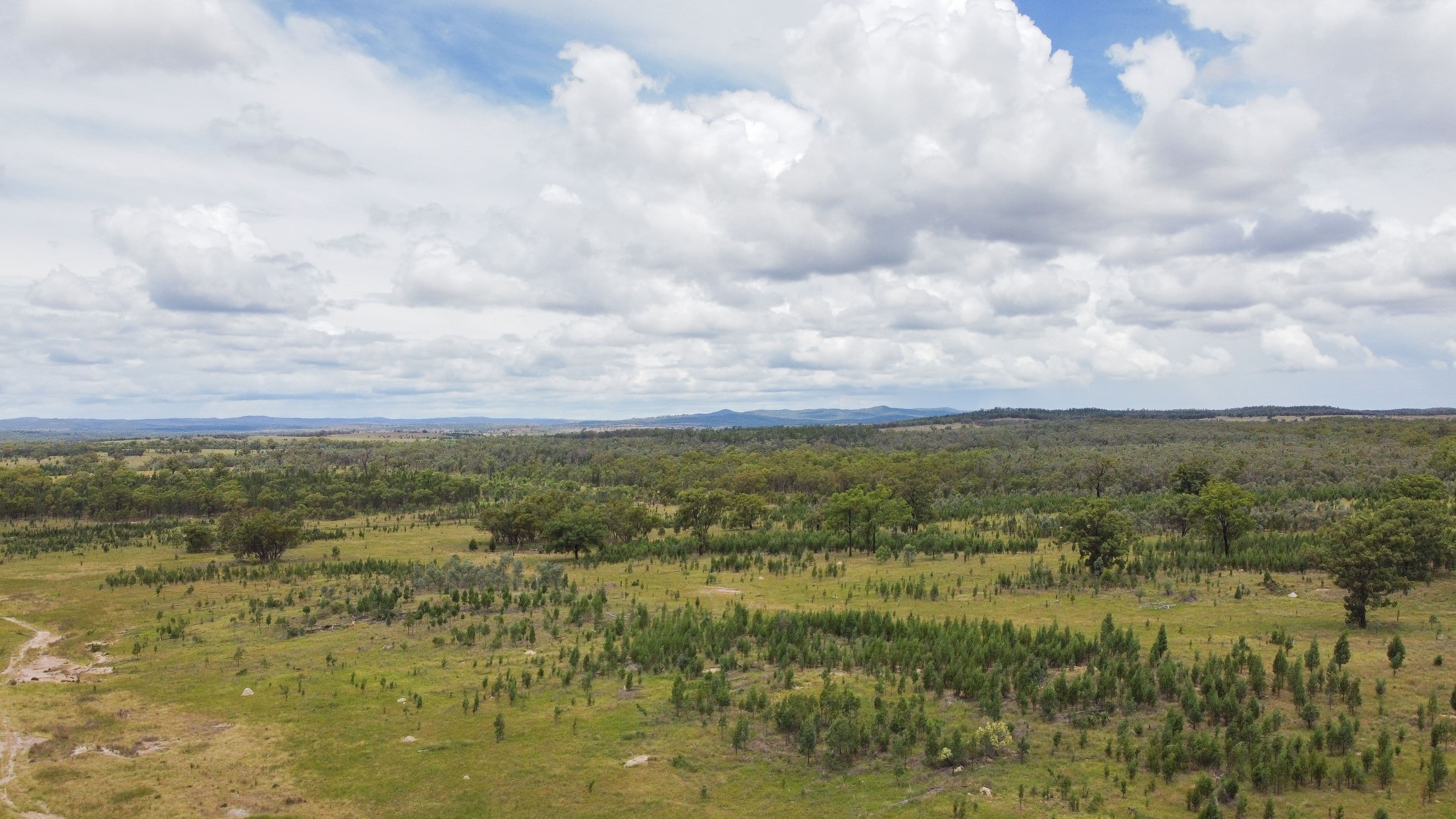 274 Homebush Road, GREENUP QLD 4387, Greenup - Thumbnail 8