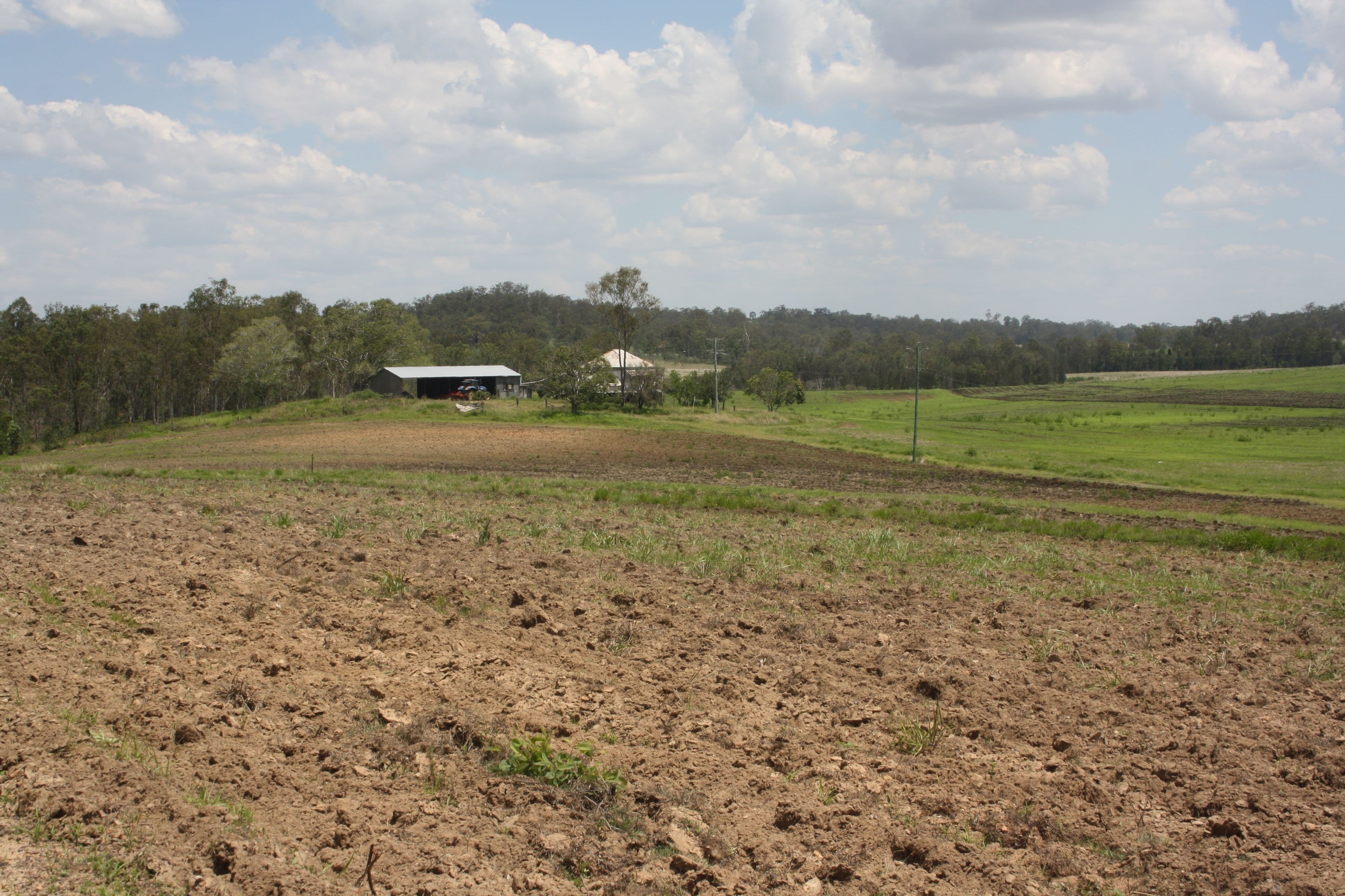 'Aplins' Delan Rd, Delan, Gin Gin QLD 4671, Gin Gin - Thumbnail 7