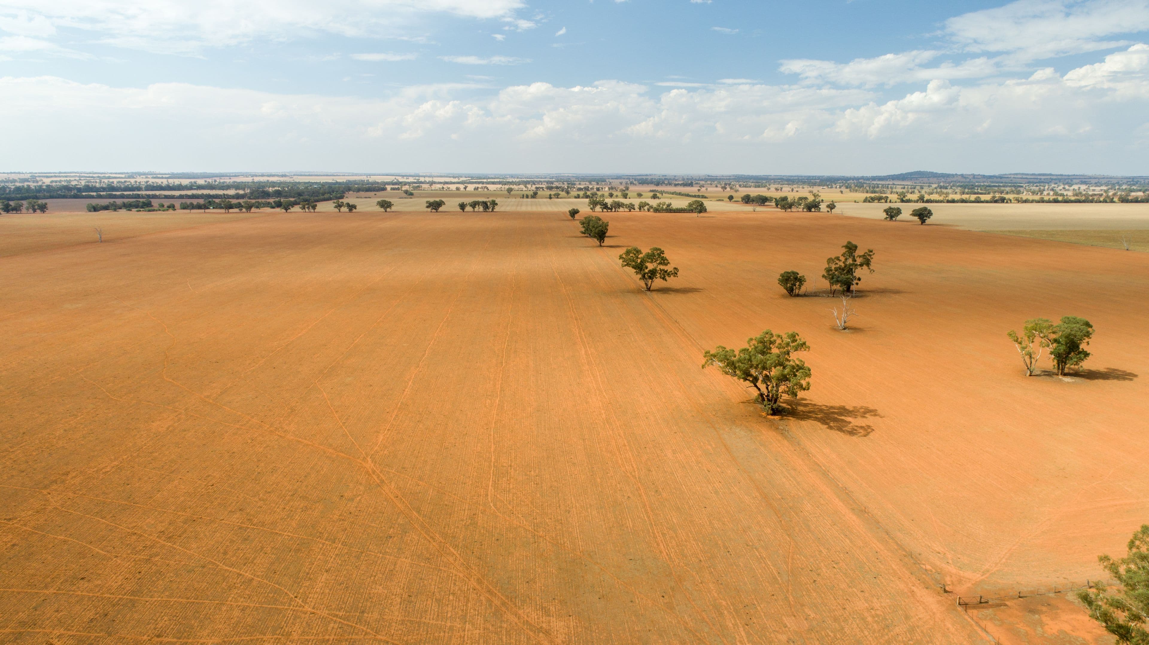 Coolamon NSW 2701, Coolamon - Thumbnail 3