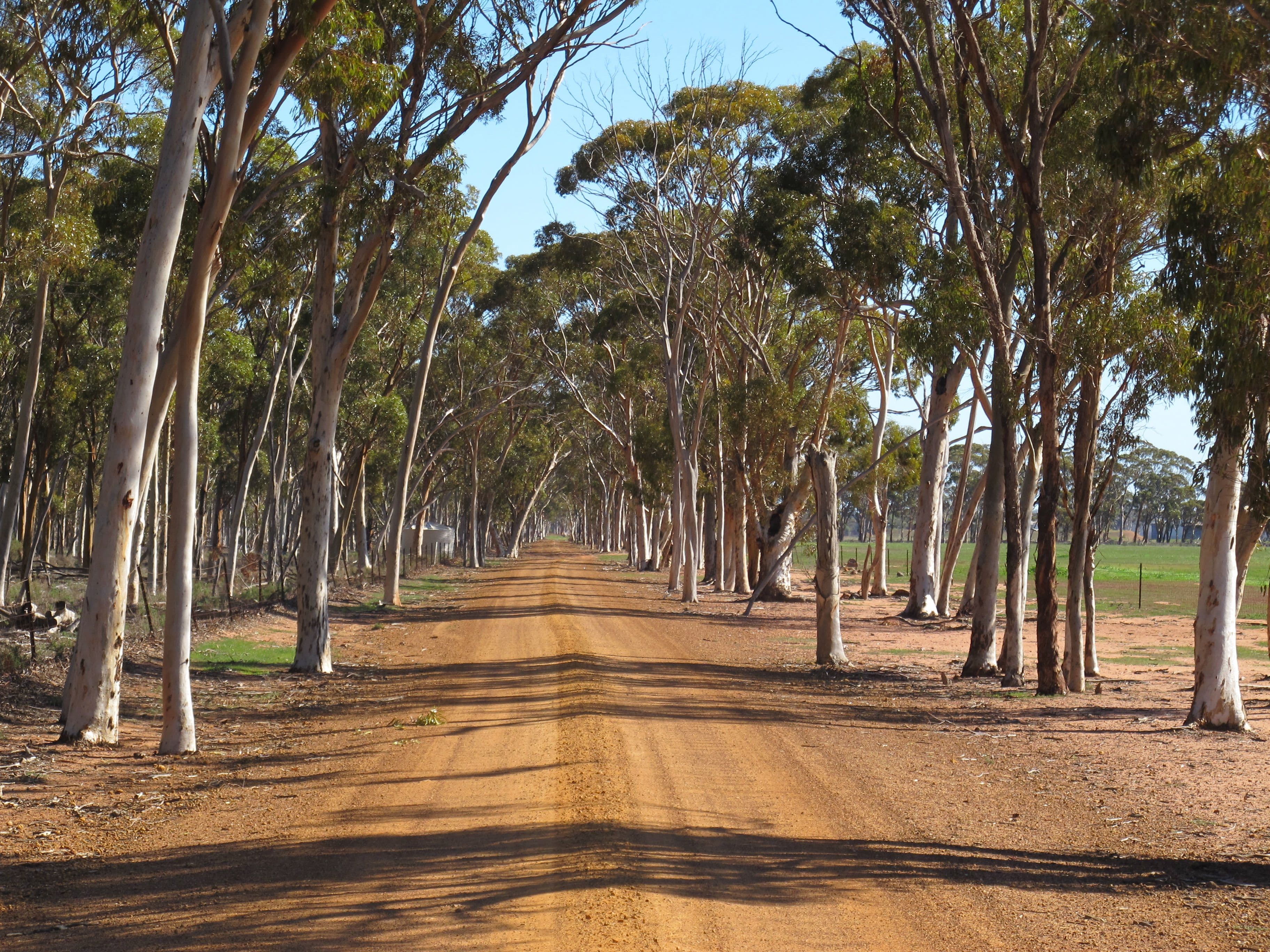Koobabbie 953 Mamboobie Road, Coorow WA 6515, Coorow - Thumbnail 6