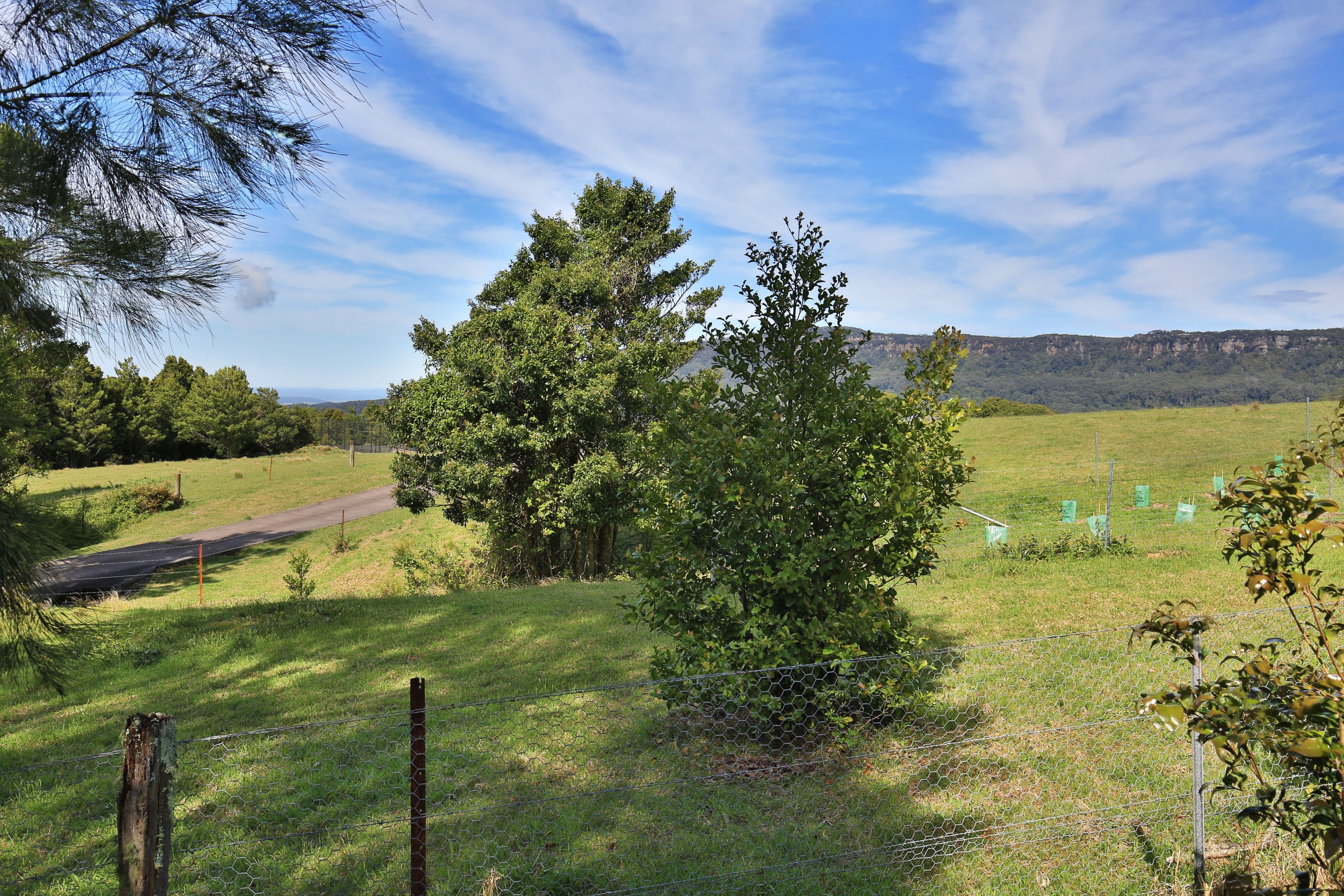 79 Hoddles Road, Foxground NSW 2534, Foxground - Thumbnail 5