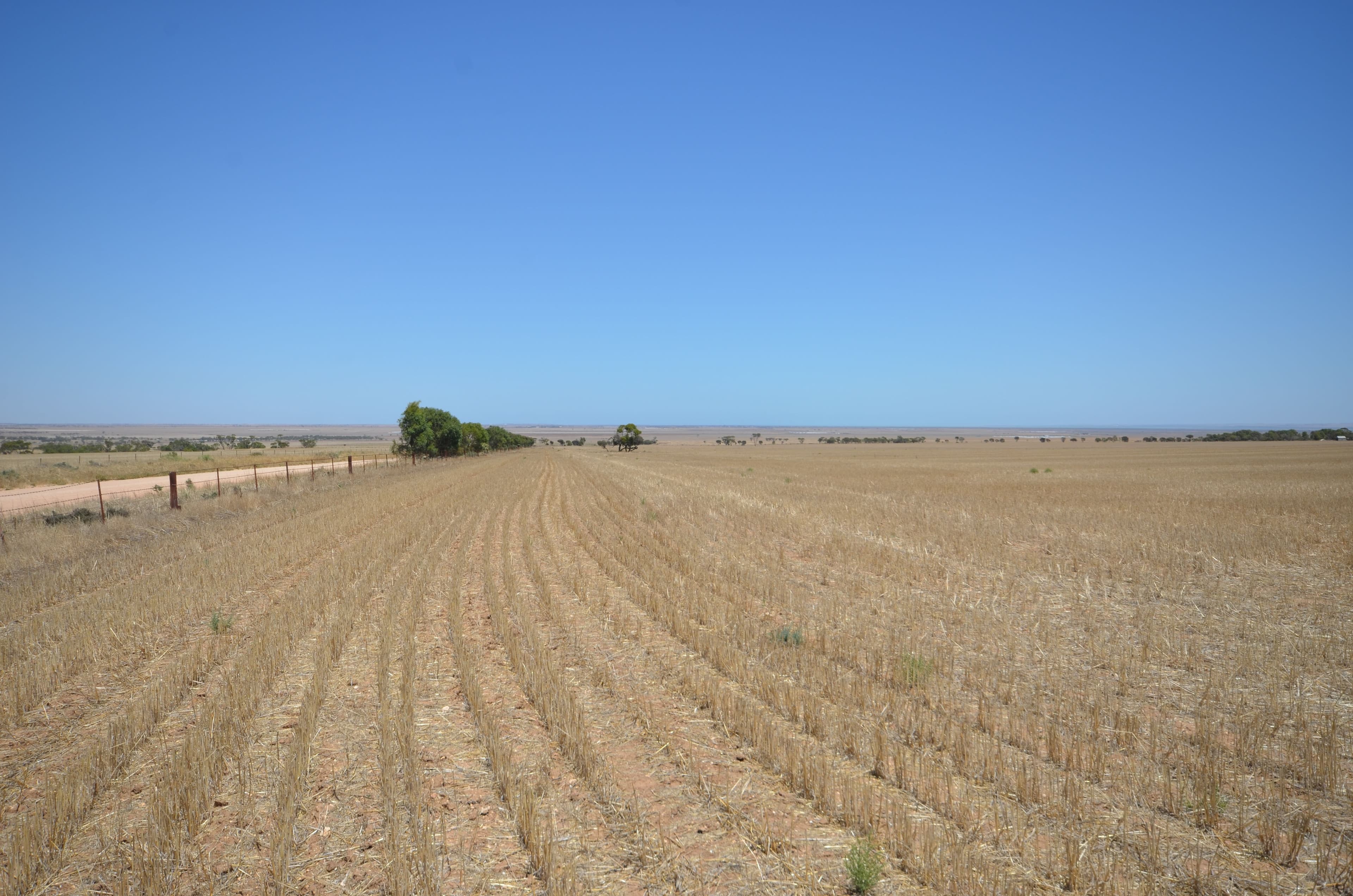 "Forrest" Dohse Road, South Hummocks SA 5550, South Hummocks - Thumbnail 2