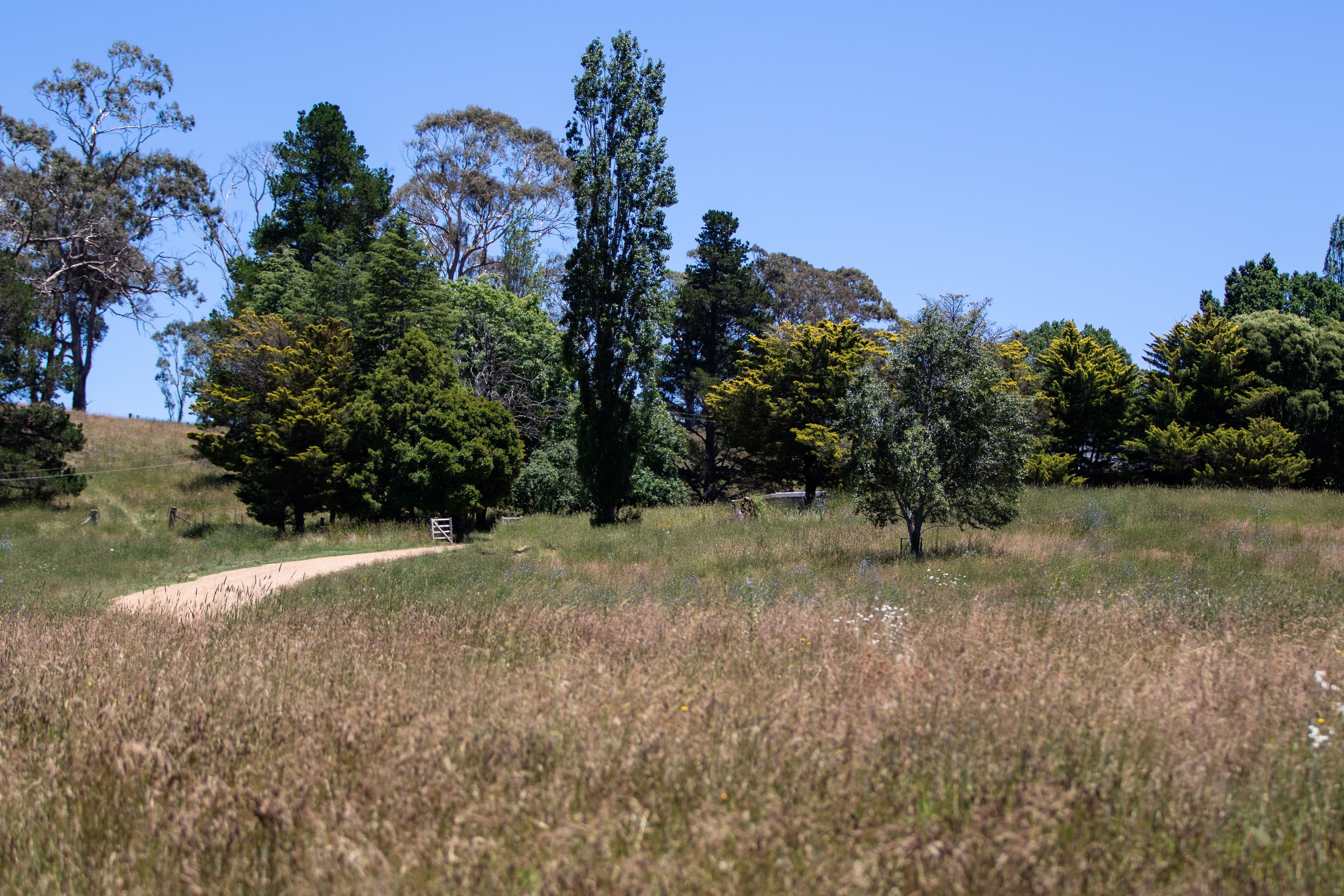 228 Old Gostwyck Road, Armidale NSW 2350, Armidale - Thumbnail 6