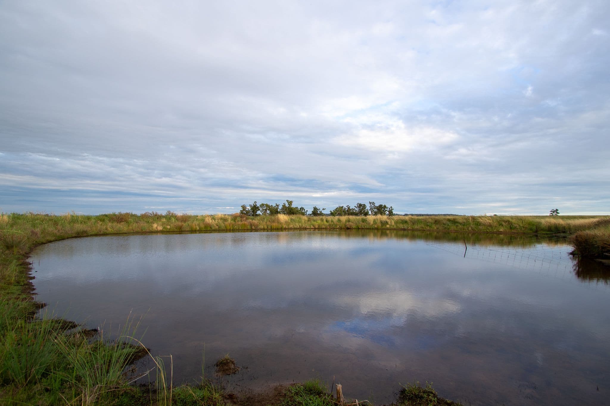 694 Lochnaw Road, Binnaway NSW 2395, Binnaway - Thumbnail 6