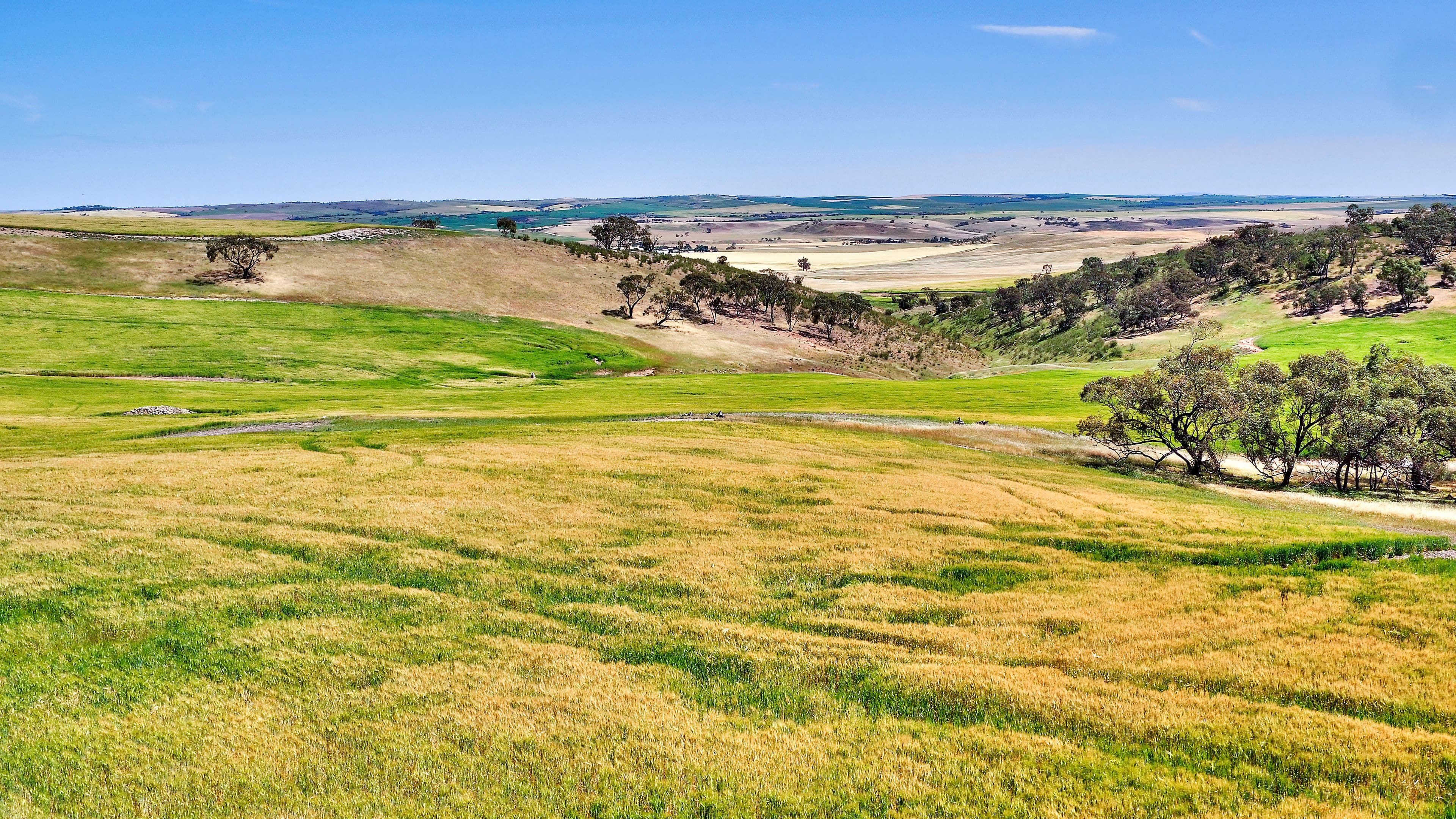 "Twin Valleys" Yacka - Andrews Road, YACKA SA 5470, Yacka - Image 1