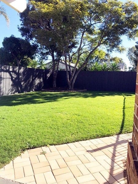 23 Halfway Drive, Ormeau QLD 4208, Ormeau - Image 1