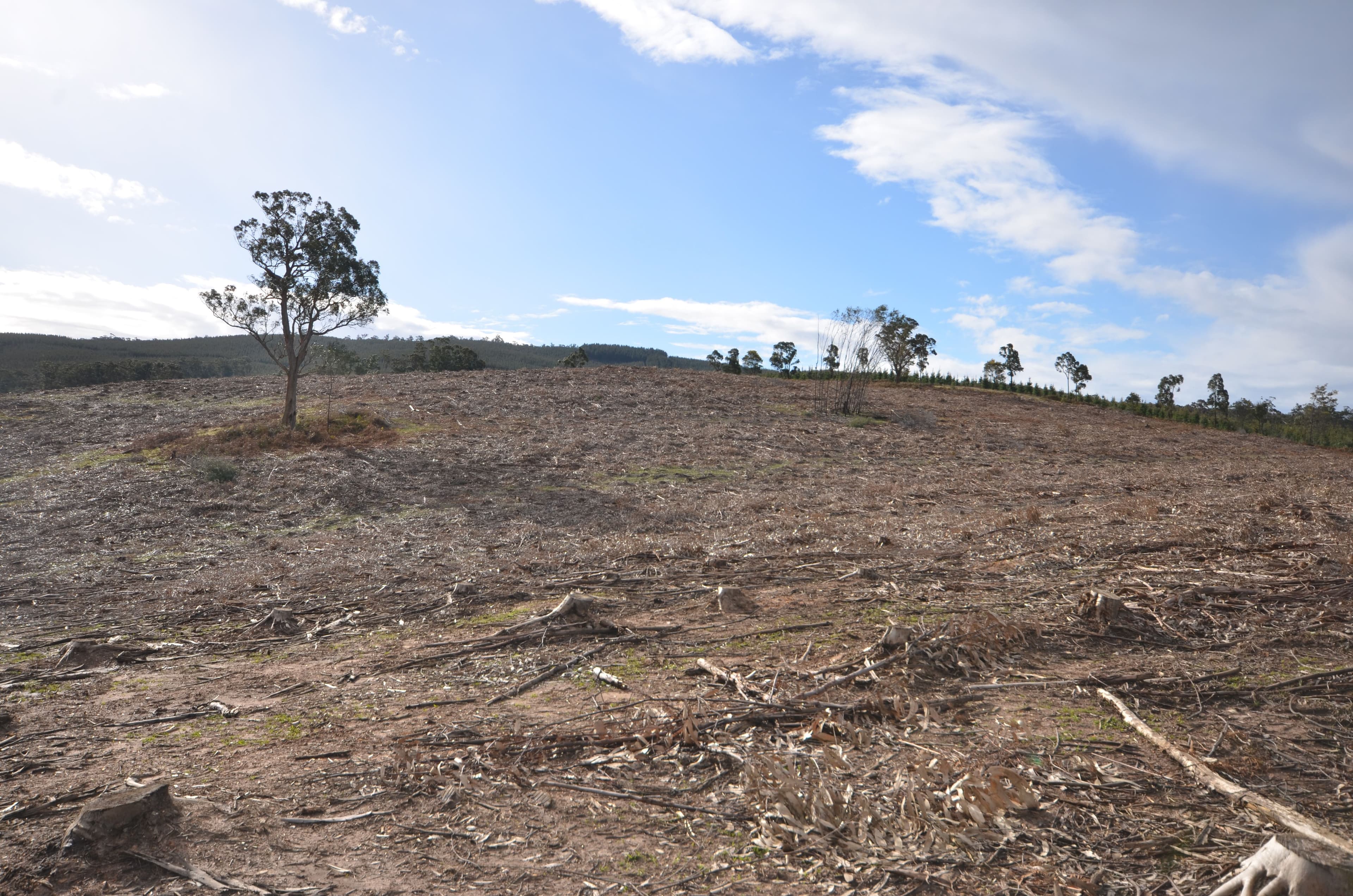 Papadimitriou Graveyard Hill Road, RAGLAN VIC 3373, Raglan - Thumbnail 4