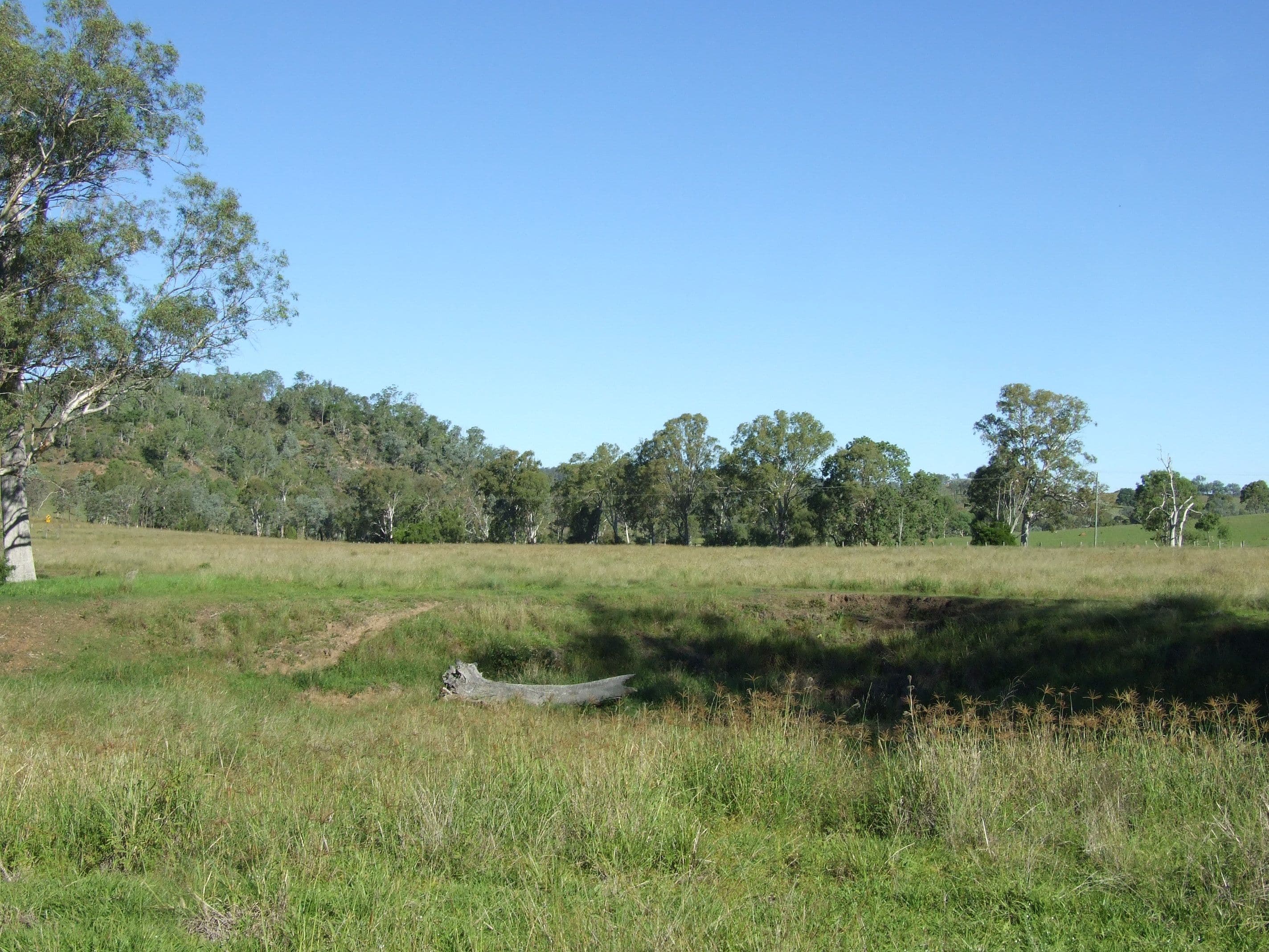 L11 Pierce Creek Road, Emu Creek QLD 4355, Emu Creek - Thumbnail 8