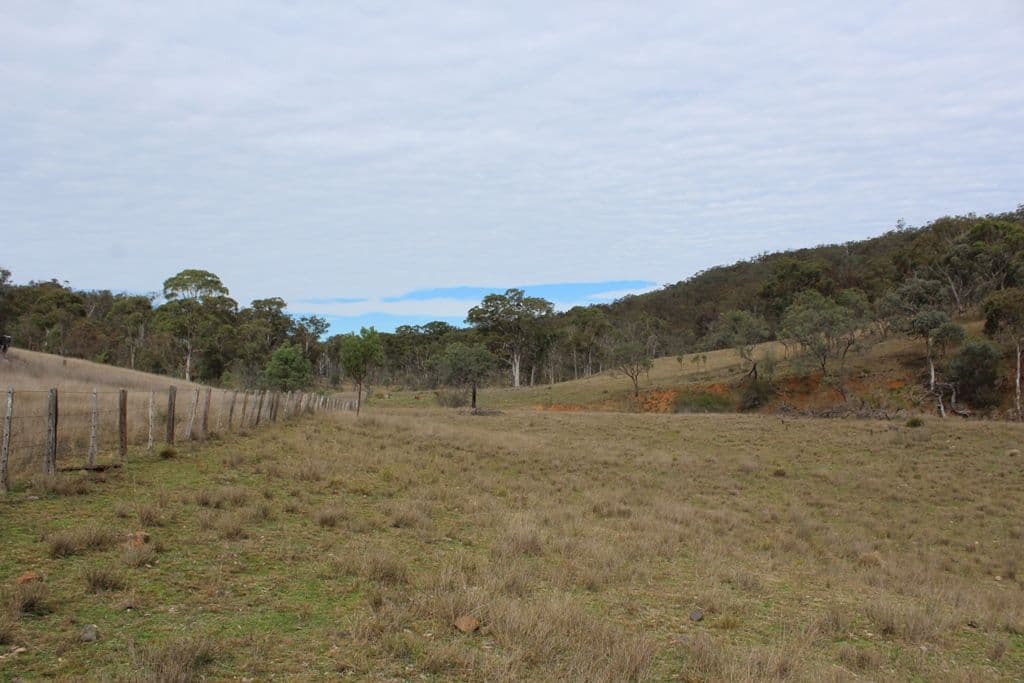 Lot 4 New England Highway, The Glen QLD 4370, The Glen - Thumbnail 7