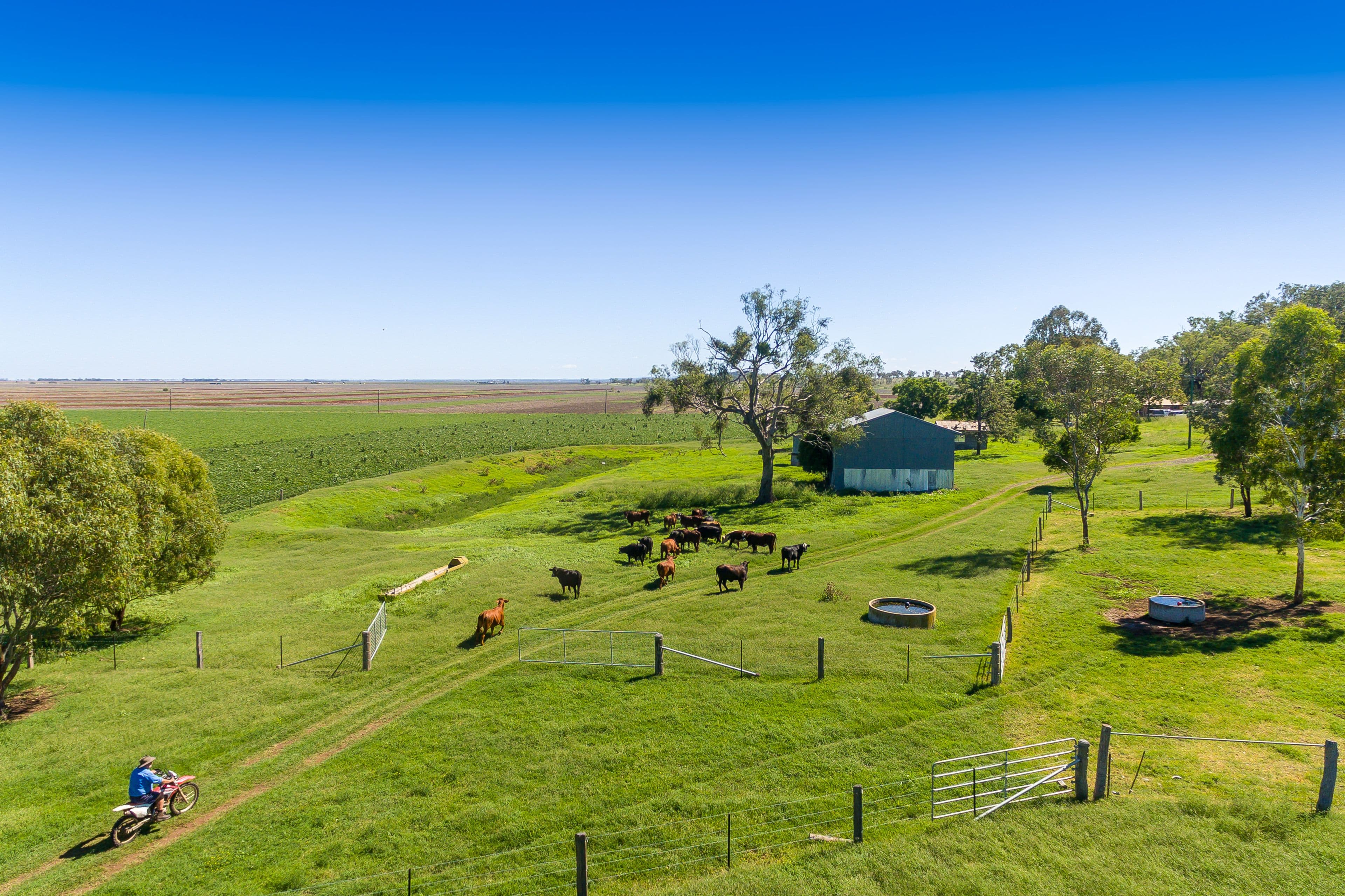 258 Motley Road, Mount Tyson QLD 4356, Mount Tyson - Thumbnail 2