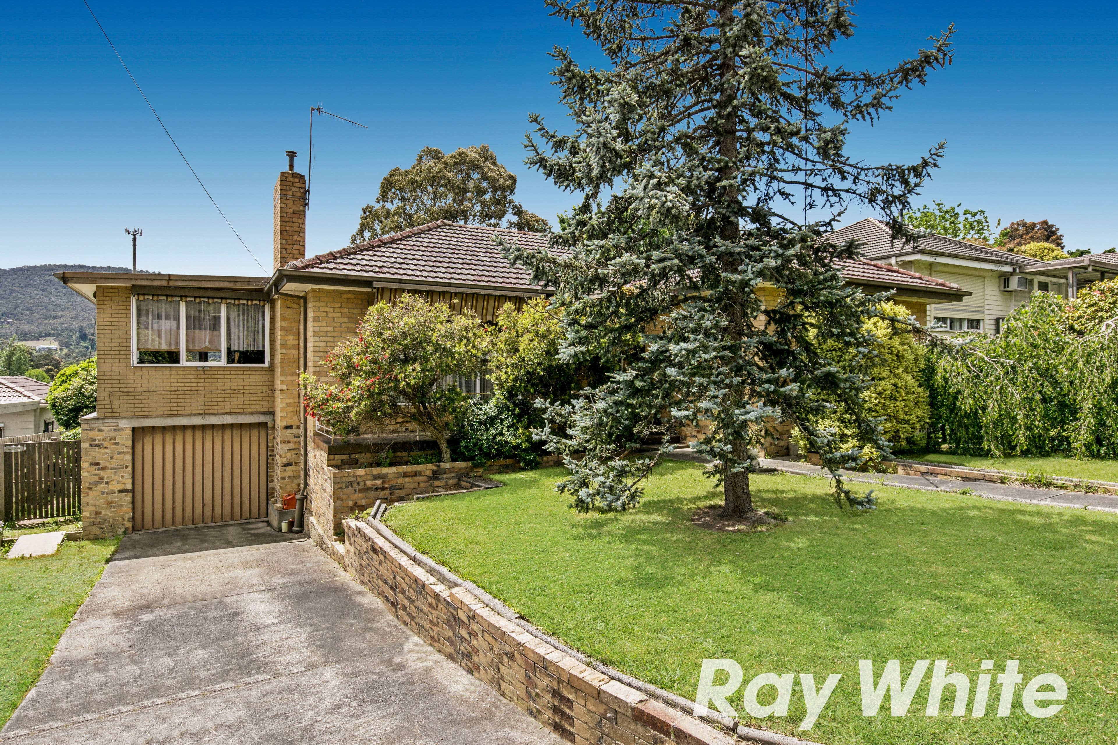 19 Nathan Street, Ferntree Gully VIC 3156, Ferntree Gully - Image 1