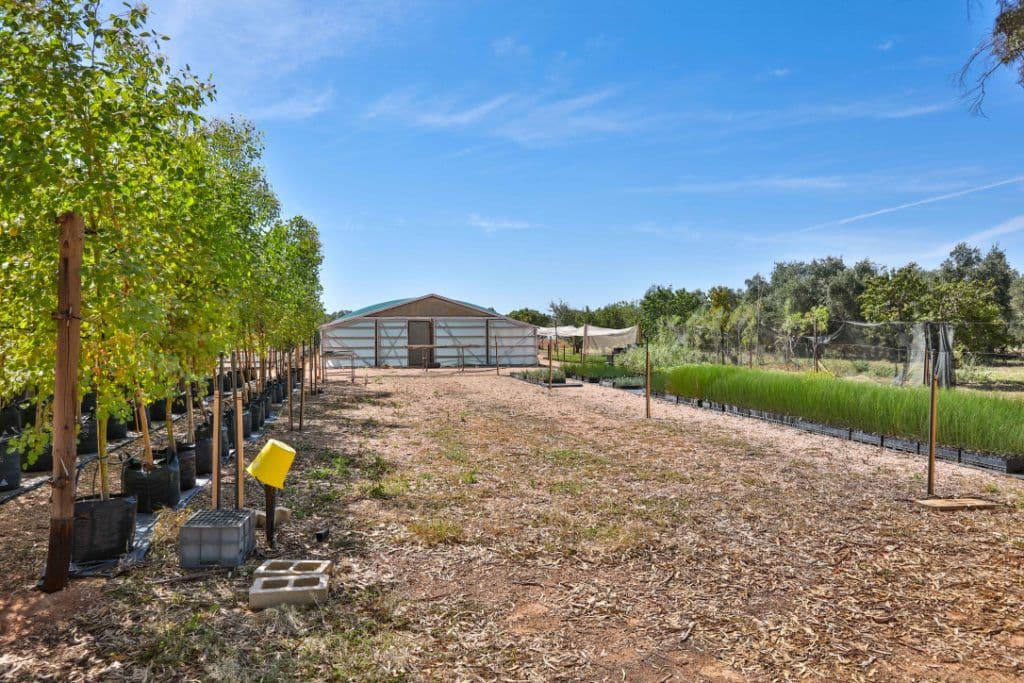 32 Rural Drive, Mildura VIC 3500, Mildura - Thumbnail 6