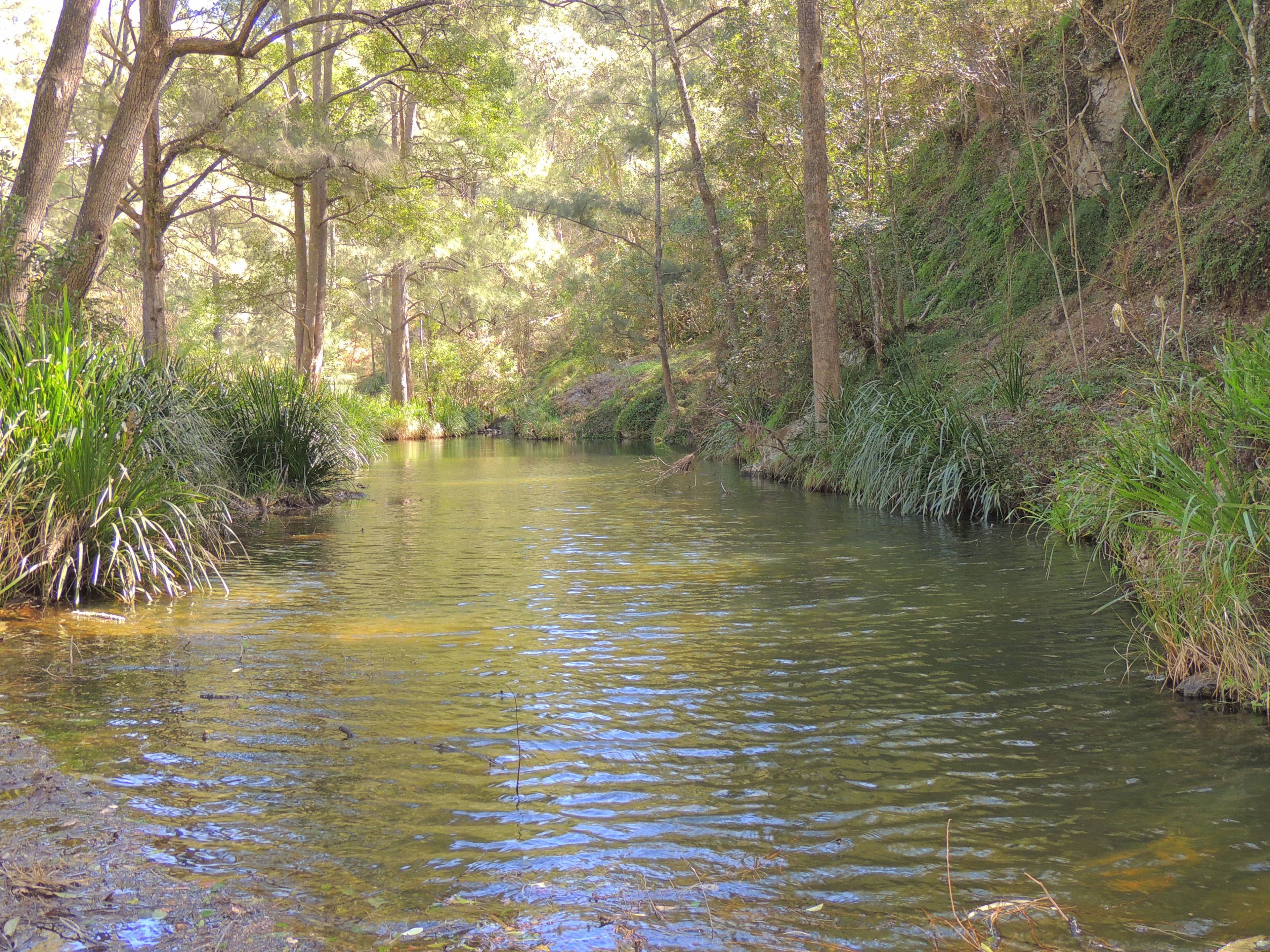 419 Bakers Creek Road, Gloucester NSW 2422, Gloucester - Image 1