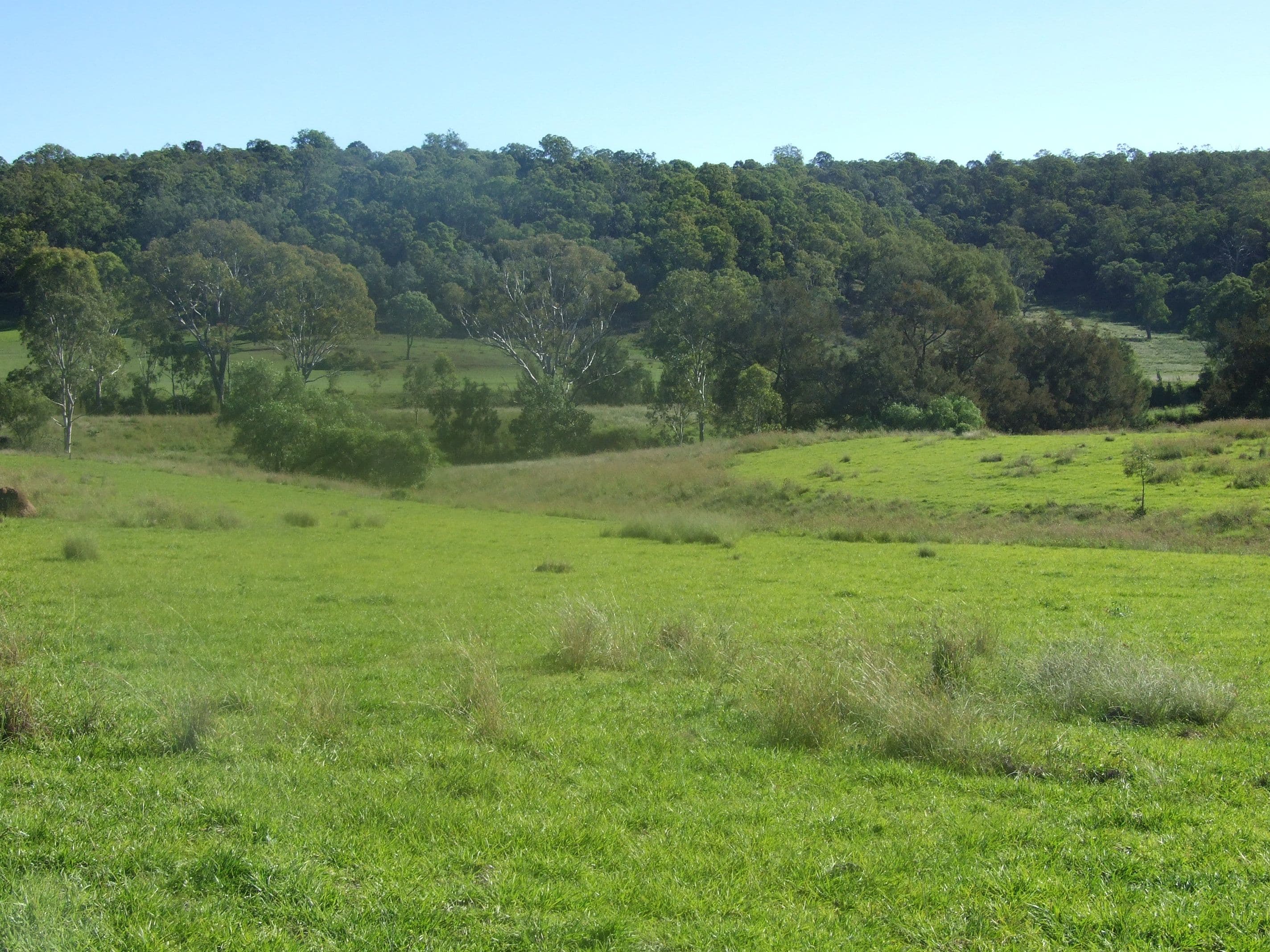 L11 Pierce Creek Road, Emu Creek QLD 4355, Emu Creek - Thumbnail 2