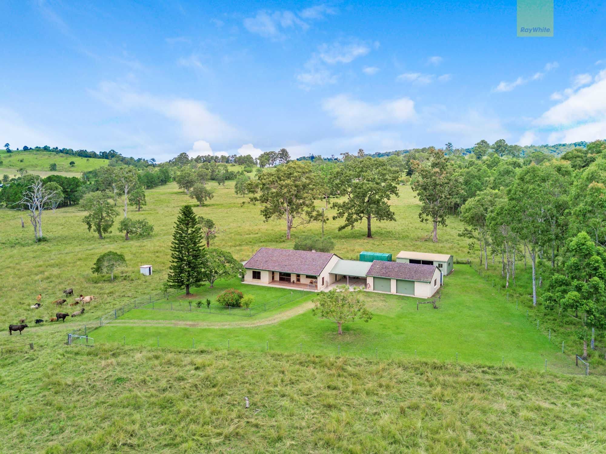 65 Toohey Road, Caniaba NSW 2480, Caniaba - Image 1