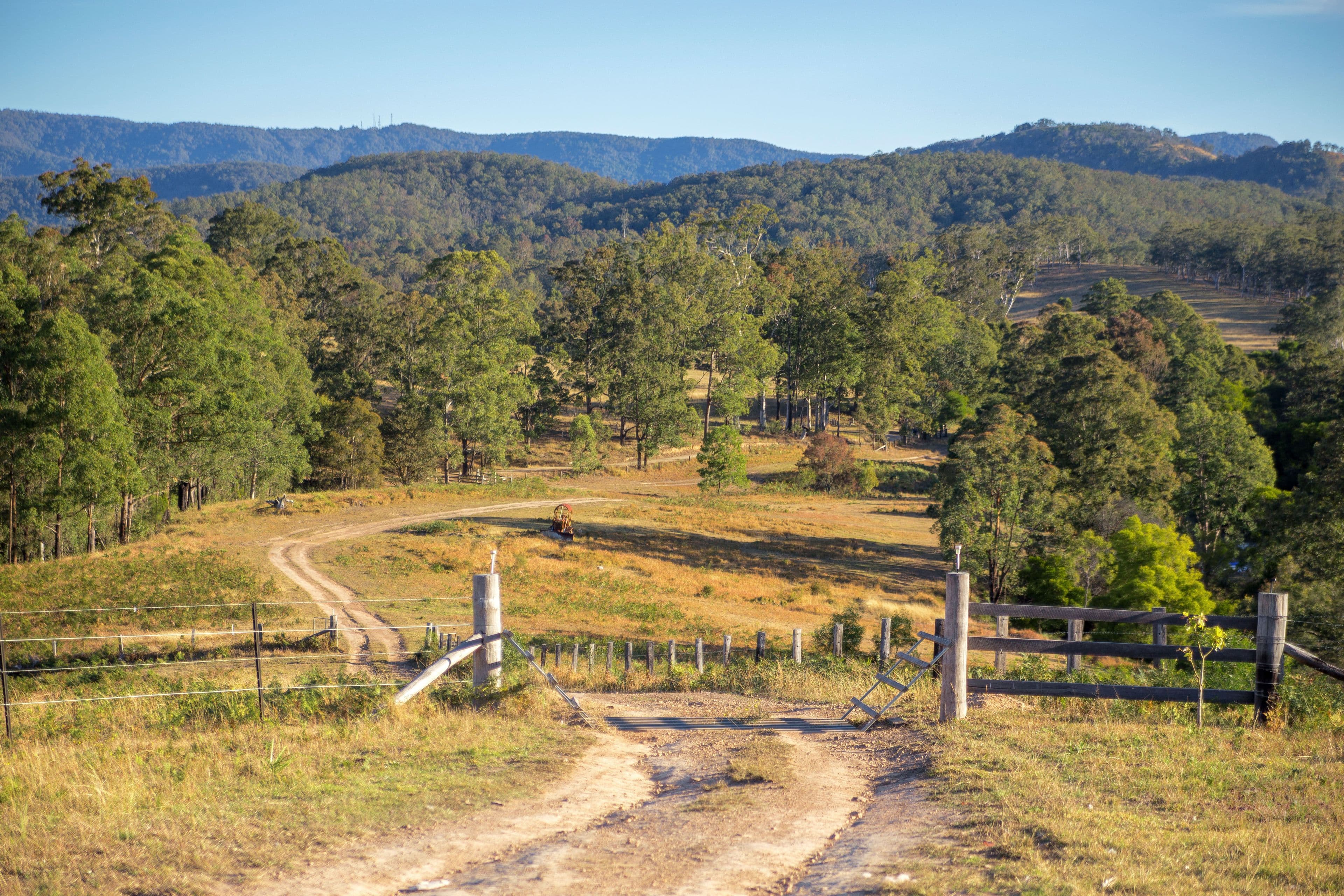 737 Black Flat Lane, Wherrol Flat NSW 2429, Wherrol Flat - Thumbnail 2