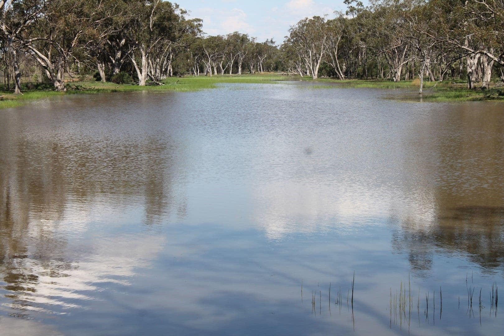 St George QLD 4487, St George - Thumbnail 4