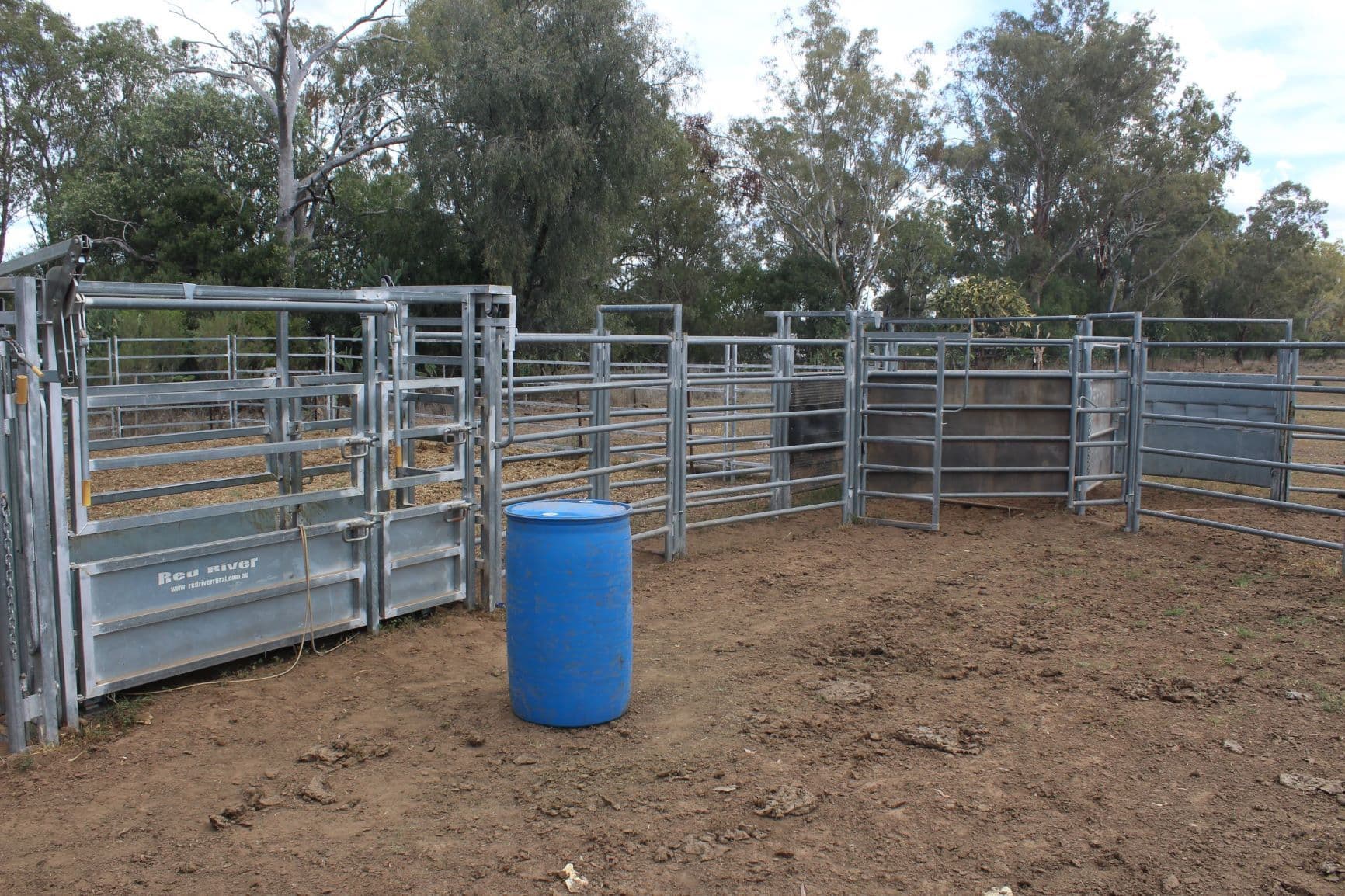 " Berrigal Farm", Bellata NSW 2397, Bellata - Thumbnail 7
